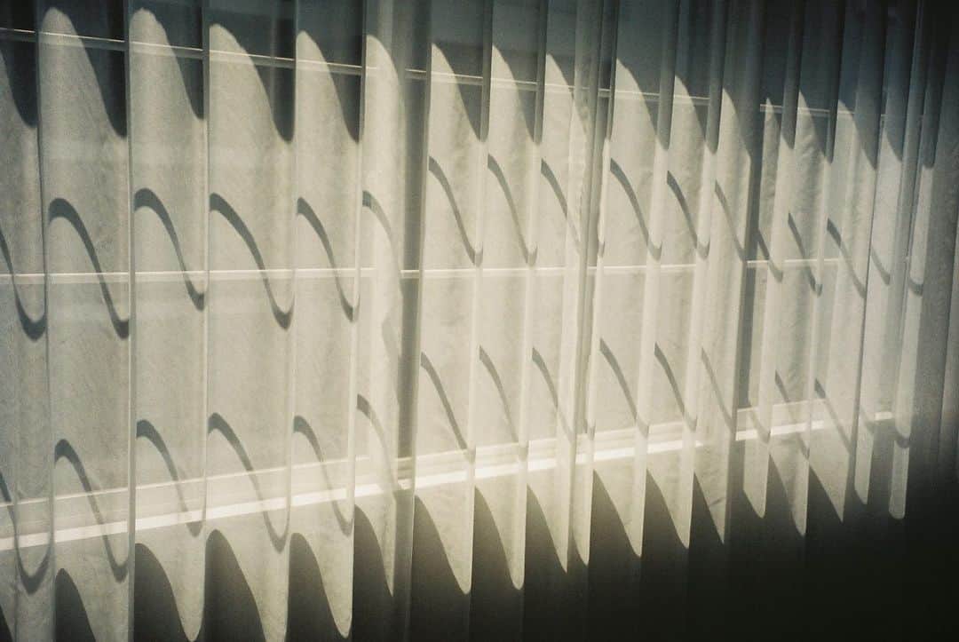 麻絵さんのインスタグラム写真 - (麻絵Instagram)「陽の光と影。  #麻絵カメラ #フィルムカメラ」11月13日 12時27分 - asaesan