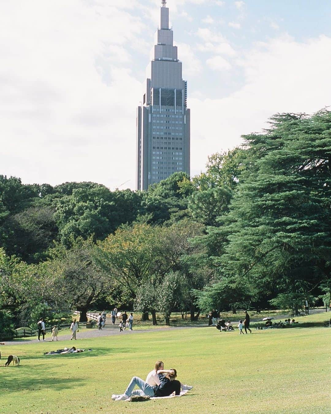 ハマ・オカモトさんのインスタグラム写真 - (ハマ・オカモトInstagram)「🦕🌴🌃  series_Elephant In The Room #16  @lily0141 がリバーサルフィルムをプレゼントしてくれました。 全然違うね、楽しかった。 ※8枚目だけ普通のカラーネガです。」11月13日 12時38分 - hama_okamoto