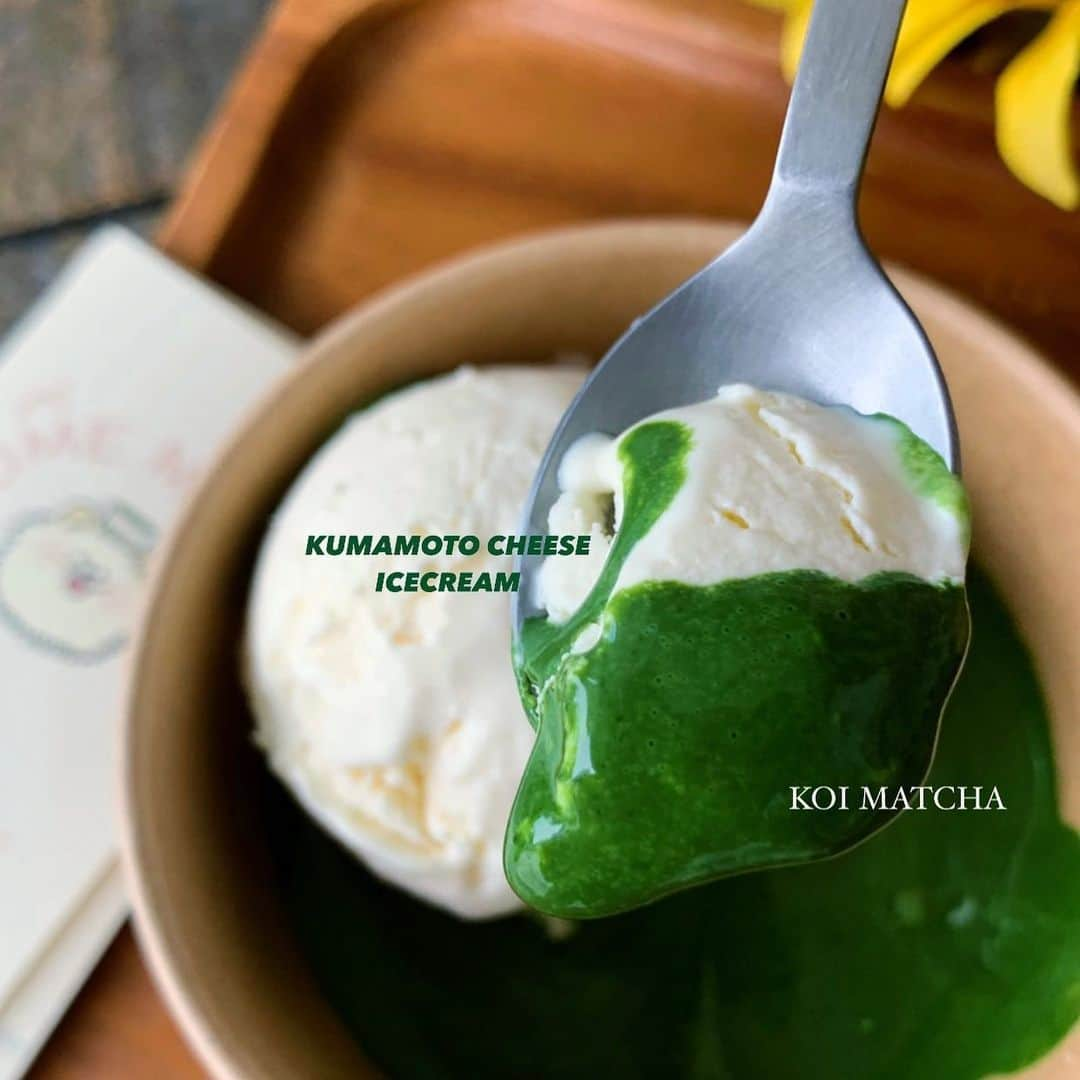 tealilycafeさんのインスタグラム写真 - (tealilycafeInstagram)「NEW SEASONAL !  MATCHA-FOGATO รอบที่แล้วทางร้านนำเสนอ matchafogato เสิร์ฟพร้อมกับไอศกรีม double oreo  รอบนี้ทางร้านขอนำเสนอไอศครีมรสใหม่ล่าสุด ! KUMAMOTO CREAMCHEESE ICECREAM.  รับประกันความนัว ความละมุนของไอศครีมชีสที่ทานพร้อมกับ KOI MATCHA เข้มข้น  หรือสามารถเลือกไอศครีมเสิร์ฟกับเครื่องดื่มที่ชื่นชอบ Iced matcha latte x Kumamoto creamcheese icecream. ก็เข้ากันสุดๆ ค่ะ  #homematcha」11月13日 12時43分 - home.matcha