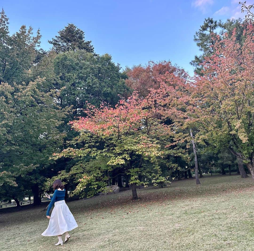 中村静香のインスタグラム：「. 京都で小さい秋みいつけた🍁」