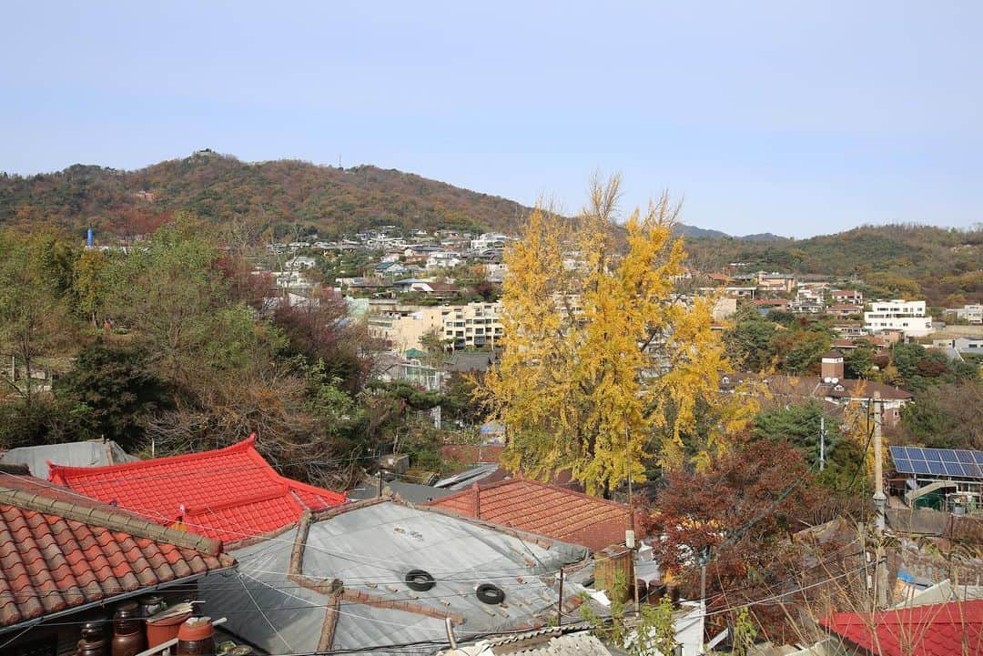 ジェイさんのインスタグラム写真 - (ジェイInstagram)「날씨는 추웠지만 마음은 따뜻했던 날 #동덕DBD #동덕방연 #들나무봉사단」11月13日 13時01分 - kimjeii