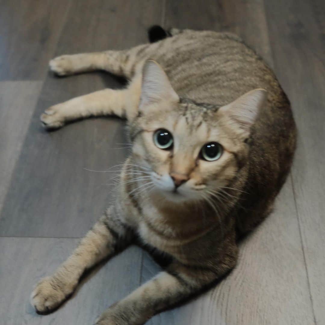 Allison Linのインスタグラム：「跟木村拓哉同一天生日的天蠍座朋友們 生日快樂 我被木村拓哉洗版了」