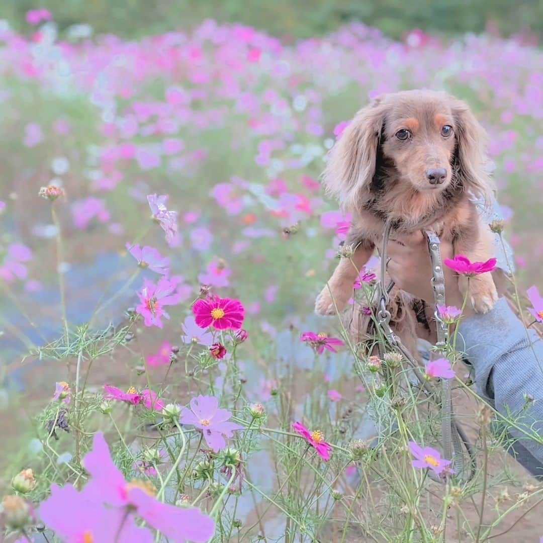 くるみんのインスタグラム