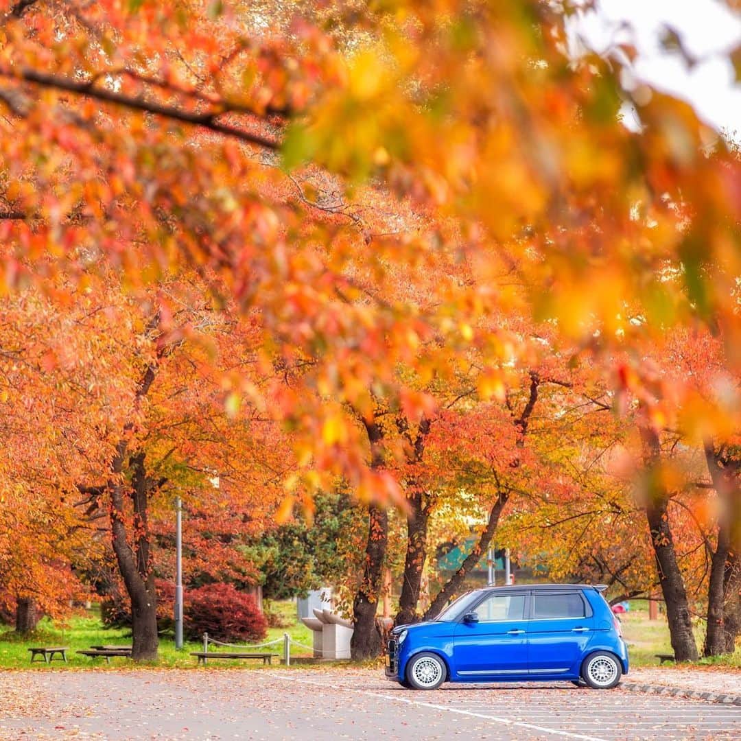 Honda 本田技研工業(株)のインスタグラム：「色鮮やかで見ごたえ抜群の景色ですね！ 紅葉とエヌワンの色のコントラストが素敵です😊 . Photo by @gokitch . #MeandHonda #Honda #thepowerofdreams #クルマ #car #HondaCar #ホンダ好きと繋がりたい #NONE #エヌワン #車のある風景 #愛車のある風景 #愛車撮影 #ドライブ #ドライブ好きな人と繋がりたい #ドライブスポット #Hondalife #carphotography  #hondagram . 本アカウントでは、「 #MeandHonda 」をつけてInstagramに投稿された皆さんの写真を紹介させていただきます。 11月は紅葉をテーマにした写真をご紹介します。 12月のテーマは夜景の予定です。ぜひご投稿ください！ . 思い出の写真や自宅付近で撮影された写真など、たくさんのご投稿をお待ちしています。」