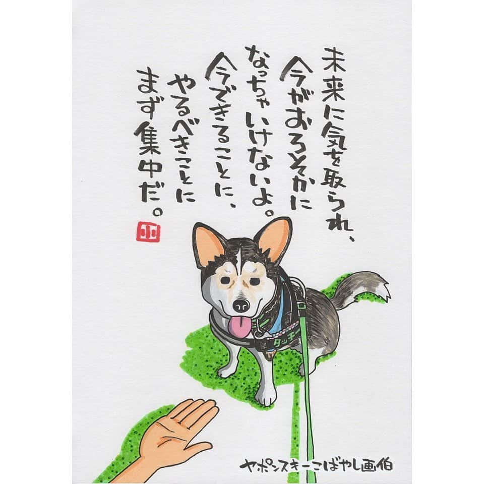 ヤポンスキーこばやし画伯のインスタグラム：「けもの日和 今日はFuuuko1017さん家の犬 タッチーです。 黒柴、かわいいですよね。 僕もよく柴犬を描くんですが そういえば黒柴をあんまり描いてなかったなと 今後、黒柴比率を増やそうと思います。 素敵なお写真ありがとうございます。  イラスト #ポエム  #イラストエッセイ #エッセイ #ヤポンスキー #ヤポンスキーこばやし画伯 #こばやし画伯 #芸人 #絵 #ポストカード #詩 #アート #言葉 #言葉の力 #人生 #生き方 #イラストグラム #イラストレーター #つぶやき #可愛い #前向き #ポジティブ #癒し #名言 #格言 #けもの日和」