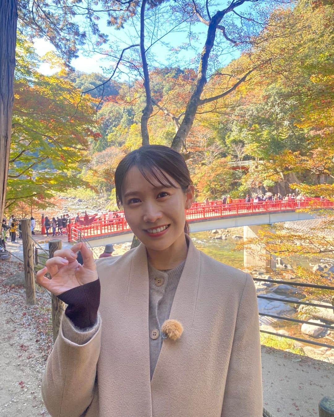 島津咲苗のインスタグラム：「愛知県豊田市 #香嵐渓 で取材🍂 交通渋滞を緩和するための新たな取り組みと 平日の観光客の様子を取材しました。  あすの #イマネタ のコーナーでお伝えします🎵 . . . #ドデスカ #メーテレ #島津咲苗 #アナウンサー #香嵐渓もみじまつり #愛知県豊田市 #豊田市 #足助 #愛知観光 #紅葉 #紅葉狩り #ライトアップ #夜の紅葉絶景ランキング #ライトアップ紅葉 #名古屋観光 #aichi #toyota」