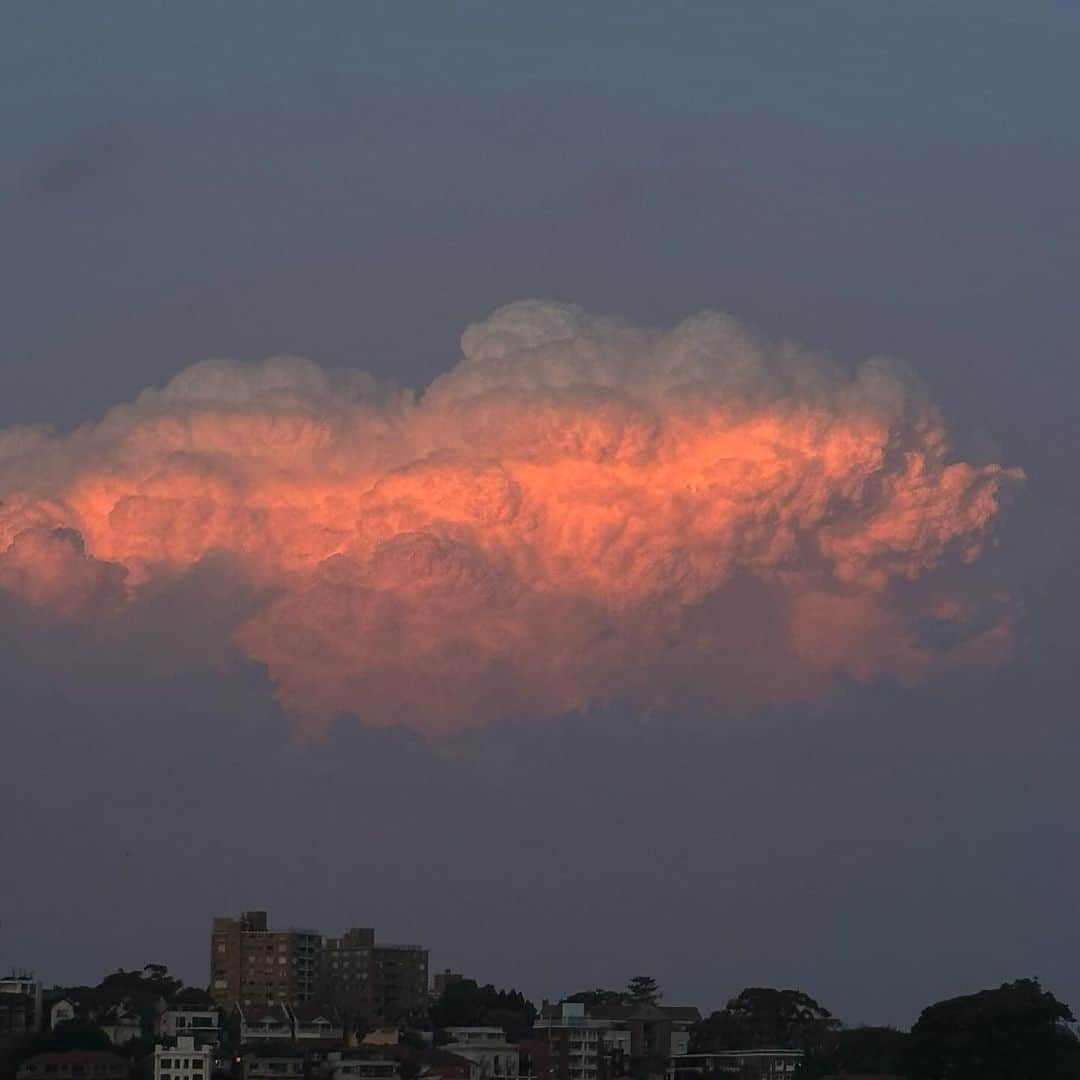 エミリー・スコットさんのインスタグラム写真 - (エミリー・スコットInstagram)「Big red bubble ☁️ Syd Harbour last night 🌏」11月13日 14時44分 - emilyscottofficial