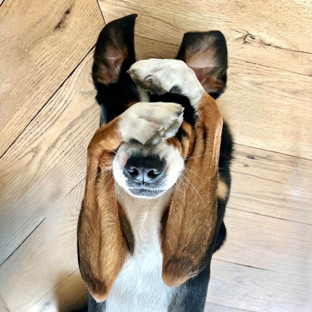 ケイティ・キャシディのインスタグラム：「Monday mood. #MeTooMurph」