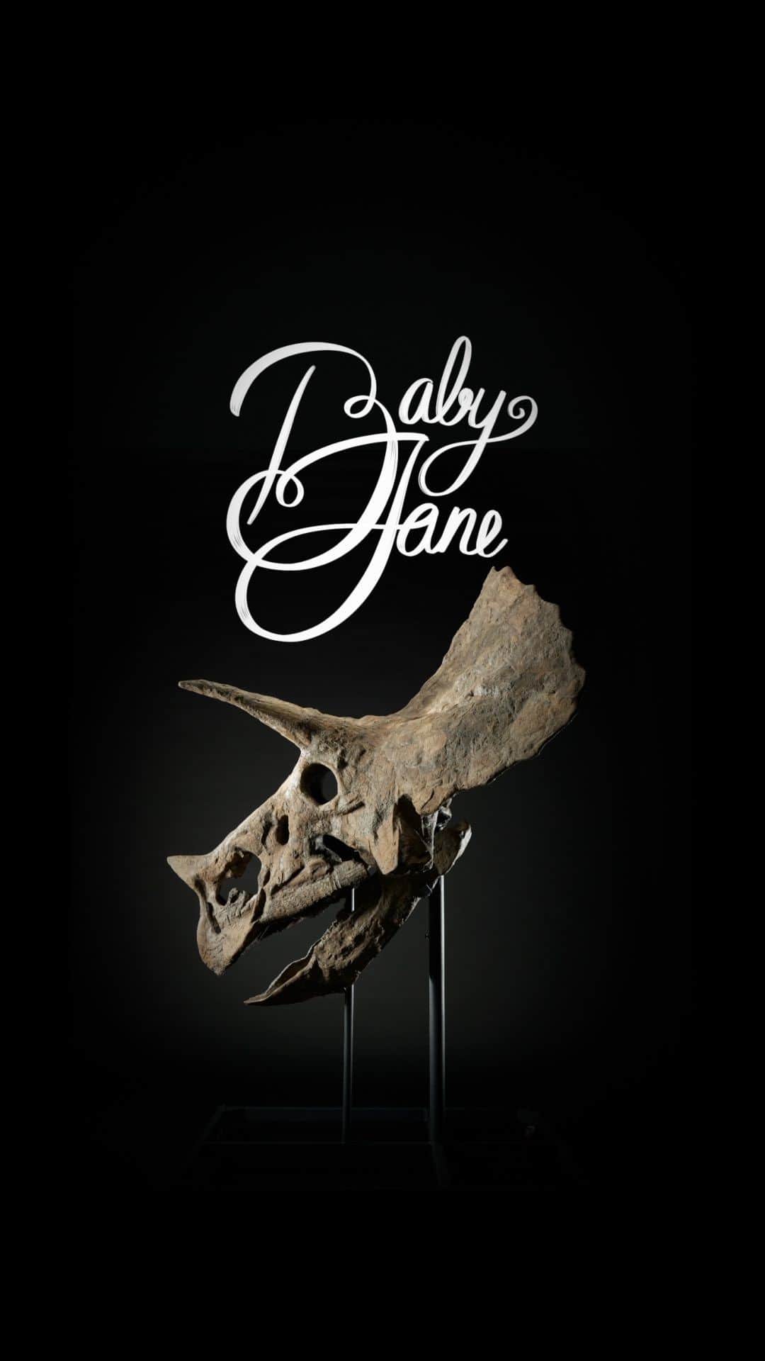 クリスティーズのインスタグラム：「An extraordinary dinosaur specimen from the cretaceous period. Meet ‘Baby Jane’. 🦖🦕  Tomorrow, one of the most renowned dinosaur species will make its debut in the exhibition rooms at Christie’s Paris! This Triceratops skull affectionately named Baby Jane, was discovered in 1998 during an excavation in South Dakota, USA. Dating back approximately 68 million years to the end of the Cretaceous period, Baby Jane coexisted with the fearsome Tyrannosaurus rex. The Triceratops skull is emblematic of the creature’s defence and counter-attack capabilities, and is one of the most recognisable skulls of any species of animal, living or extinct!  📍The lot will be on view at Christie’s Paris from 14 - 21 November.  ‘Baby Jane’, the skull of a triceratops, South Dakota, USA. Estimate: €300,000 - €500,000  🗓The Exceptional Sale, Including masterpieces from the Rothschild Collections: Paris | Live Auction: 21 November 3PM CET.  @christiesparis #dinosaur」