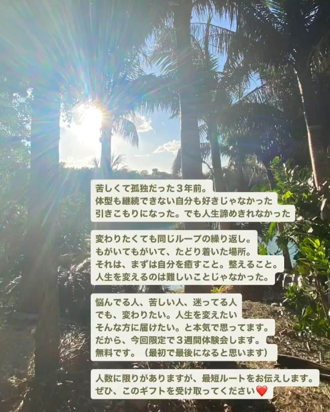 Kamada Sakurakoさんのインスタグラム写真 - (Kamada SakurakoInstagram)「🗺️🩵  ずっと、夢だった..   人生において 本当に大切なことを学び  本当の 美しさ と 豊かさ を 共に育み  本当に繋がりたい人と 繋がり 楽しめる  on-line school  ／ @wellmeschool_diet  ＼  ついに..  たくさんの方にサポートしていただき 最高のチームで創り上げることができました。  本当にありがとうございます。  内容は、投稿の2枚目以降  swipeしてご覧ください🩵  すでに募集3時間で半分以上埋まりました🙇‍♂️ たくさんのご応募とメッセージ ありがとうございます✨  ＿＿＿＿＿＿＿＿＿＿＿＿＿＿＿  今日は 少しだけ 私の想いを..💌✨ 心を込めて  シェアさせていただきます。  必要な方に届きますように。  私は、大学時代から心理学を専攻し （この頃から興味があったけど勉強熱心ではない笑）  ２０代前半の頃から心の師匠と出会い  " 学校では教えてくれない "  本当に大切なことを学ばせてもらい この約１０年間ずっと実践してきました。  もちろん、たくさん失敗もし 苦しく辛い経験もありました。  でも、根本（心）から変えていくことを 学び、実践し、腑に落としていった  その結果  すごく生きづらかった人生から すごく生きやすい人生になりました。  そして、きづけば  出会う人や言葉、マインド、生き方まで 変わっていきました。  何をしたらいいか分からなかった大学時代から  叶えたい夢もたくさんみつかり 海の家のプロデュースや 住みたかったタワーマンション 世界を旅すること  たくさんの方にご協力いただき ２０代でやりたかったことを 叶えることができました。  もちろん、たくさんチャレンジした分  失敗したこと、苦しかったこと 自分の人生を諦めそうになったこと 何度も何度もあります。  自律神経が乱れ、引きこもりになり 幻覚幻聴、命をたとうとしたことも。 でも、今は本当に自分の人生を 諦めなくてよかった。と心から思えます。  大学を卒業し  会社員の頃（約1年と少し）  みんなが当たり前にできることができない （電車の乗り換えや集団行動など他にもたくさん）  なんで自分はこんなこともできないんやろ と感じて生きてきました。  だけど、今は  "普通"  や "常識"  や "みんな"  にとらわれずに  "わたしらしさ"  として  自分自身の良い部分も 嫌いだったところも すべてを受け入れて  パワーに変えることができるようになりました。  私がこの１０年間で  時間とお金を投資して  心の師匠たちから伝授してもらったこと。  実践し 経験し 失敗し　  夢を 叶えていけたこと  すべてを詰め込んで  本当に大切なことだけを  カタチにしたのが  この @wellmeschool_diet  です。  そして、私だけでなく  マインド、ダイエット 分子栄養学、ファスティング 出産、子育て、パートナーシップ 海外移住、インタースクールetc..  各分野のプロフェッショナルな  素敵の仲間と  それぞれの得意分野を活かし  "共創"  してきました。  そんな素晴らしい仲間たちとの企画を  今回限定 プレゼント（３週間無料）させて  いただくことになりました。  心と身体を整えて 本来の自分へもどる ３週間の旅を  私たちと共に楽しみましょう☺️🗺️💗  人生が変わりだすキッカケになると すごく嬉しいです。  実際に、女子校でも多くの方が たった３週間から３ヶ月で 体型だけでなく人生まで  そして、自分だけでなく 大切なパートナーやお子様まで 変わっていっています。  ＿＿＿＿＿＿＿＿＿＿＿＿＿＿＿＿＿＿＿  同じように悩み苦しんでいる方に届けたい。 この世界、日本が少しでも明るい方向へ🗺️ 子どもたちの未来が明るく幸せでありますように。  そんな想いでこのビックイベントを  企画しました。  @chillnee_diet  こちらのアカウントの公式LINEより "招待状" とお送りください♡  🌟 50名様限定ですので   埋まり次第終了とさせていただきます✨  必要な方に届きますように。  シェアも大歓迎です✨  人は、何歳からでも変われる 私が変われたように。そして 大切な人や女子校のみんなが変われたように  出産以降何十年も痩せれなかった方が たった３ヶ月で（食事制限、運動なし） －5kg痩せれたり..  何十年もイライラを引きずっていた方が たった数週間で引きずらなくなったり  それを見た旦那様が驚かれて 今、一緒に学び実践されています。 ご家族での変化もすごいです。  20〜50代の方まで 一緒に日々の変化を楽しんでいます😌✨  ぜひ、このキッカケを このギフトを受け取りに来てください☺️💗  🔑🚪✈︎ 🌍❤️  #wellmeschool  #ウェルミースクール #オンラインスクール   #学校では教えてくれない大切なこと   #生き方 #マインド #マインドフルネス  #ダイエット #ファスティング #子育て  #パートナーシップ #潜在意識 #呼吸 #瞑想  #ダイエットを卒業   #chillねぇダイエット」11月14日 0時18分 - sakurako_mahaloha