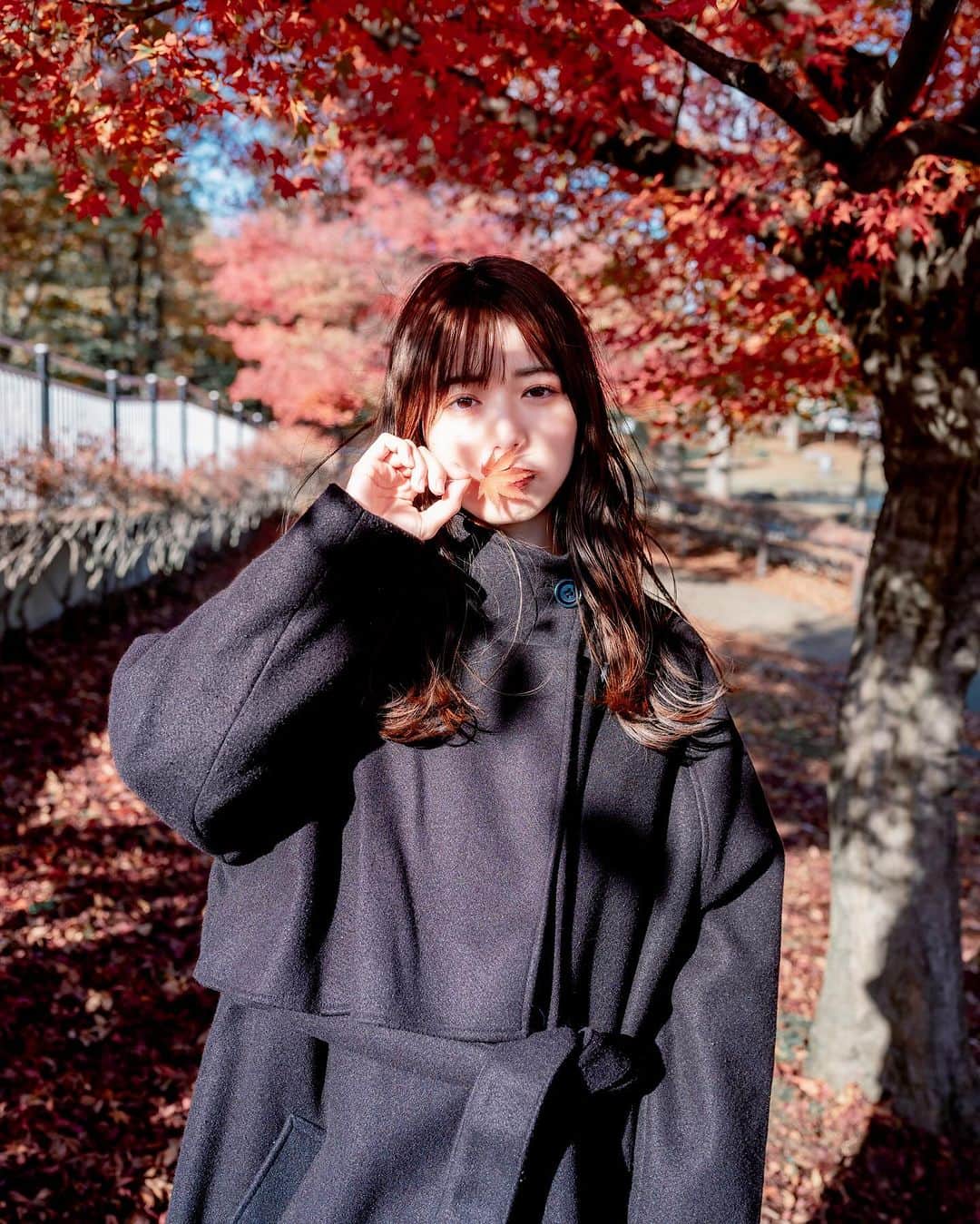 shabonのインスタグラム：「* . . . . . 気付いたら紅葉ピークだし🍁 冬のような寒さだし🤣❄ . . model : @symt_mio  . special thanks. @acekeca  @junjun_photographer  . . FUJIFILM GFX50S II /  GF45mm F2.8 R WR . . . . . . *」