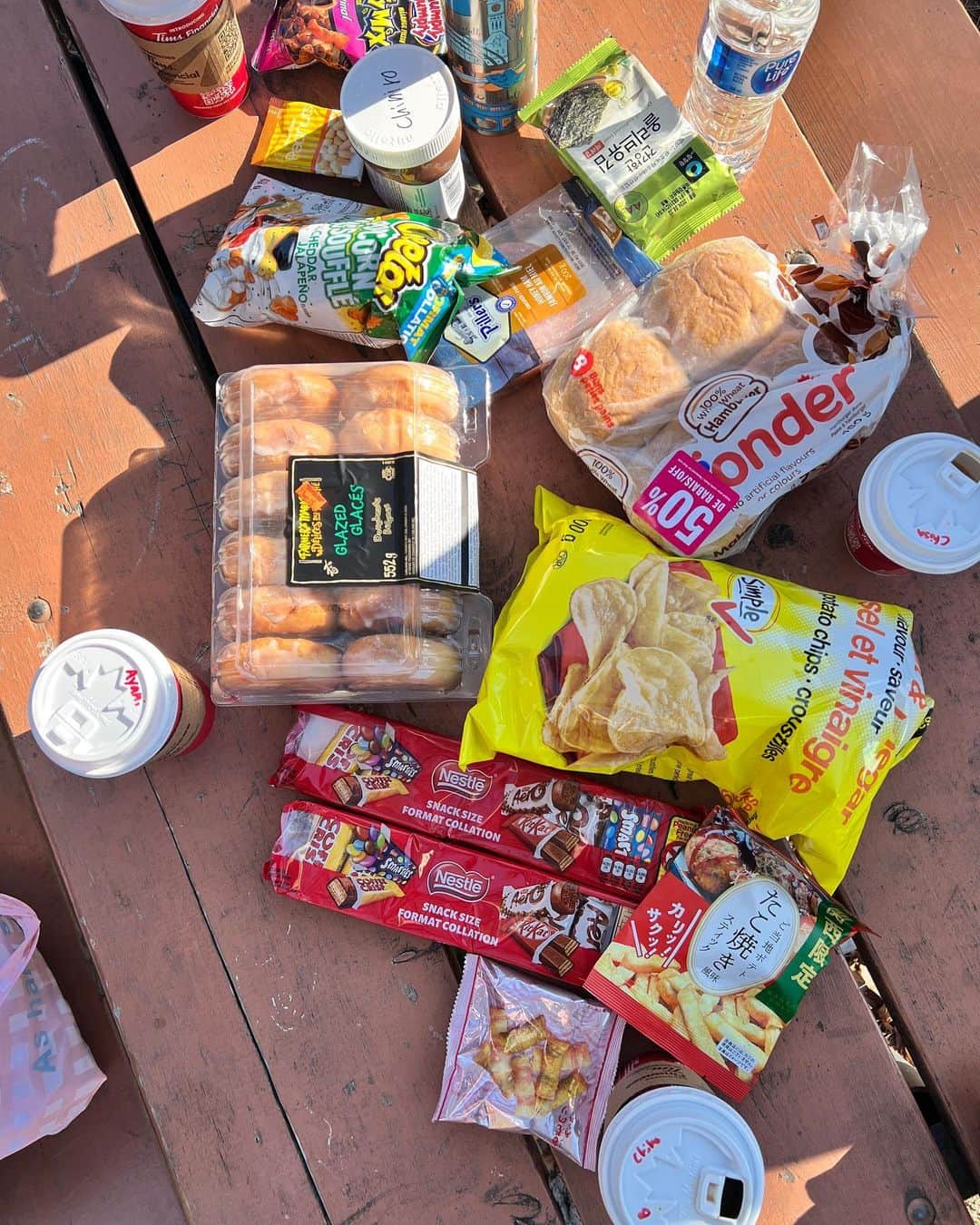 寺内千穂さんのインスタグラム写真 - (寺内千穂Instagram)「寒くて常に赤鼻のトナカイ❄️  #toronto #highpark #picnic」11月14日 0時26分 - chiho_terauchi