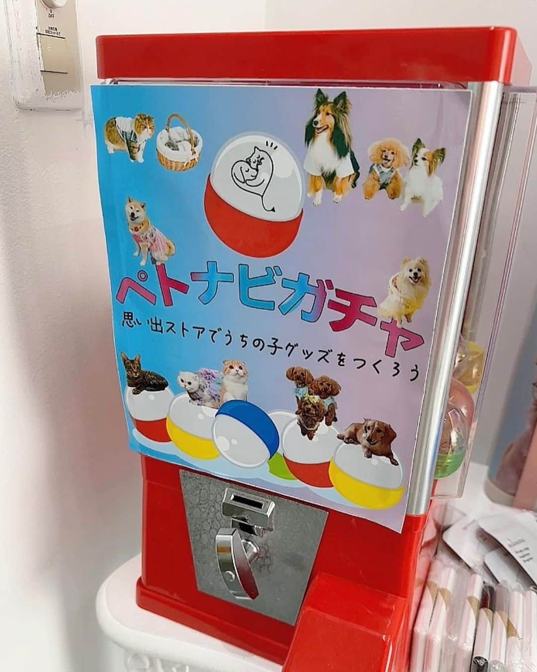 桜もこさんのインスタグラム写真 - (桜もこInstagram)「ペトナビ秋イベント 「うちの子との愛と絆」 に行ってきましたな @petnavi.official ぴぴとゆいかさん（@yuika_matsuda.official）のわんこちゃん達と撮影とっても可愛い！！！ ぴぴ何回か撮影したことあるけど、すごく最初緊張してました(♪でも慣れていつものパワフルぴぴも発揮® イベント会場にはわんちゃんねこちゃんがいてとても可愛くて楽しかった！ しかも撮影以外にもガチャやプリクラ、そしてパトナビケーキやケア、もうぴぴが喜ぶもの嬉しいもの盛りだくさんでしたったくさんの体験をしました♥ ペトナビタクシーで送迎もして助かりました。本当に満足な時間でした※ #PR #ペトナビ#ペトナビケーキ #ペトナビサンタ #アトリエミニヨンドサトコ #プロモサーモ #ドッグバー スデー #HONI #ファインペッツ #BAUWAW #ペットケアマネージャー協会 #かるたく#ユニチャーム ペット#アニマコレ #livingwithpets #_fany_inc #MEDICAT #MEDIDOG #uniam」11月14日 0時48分 - mokochan319