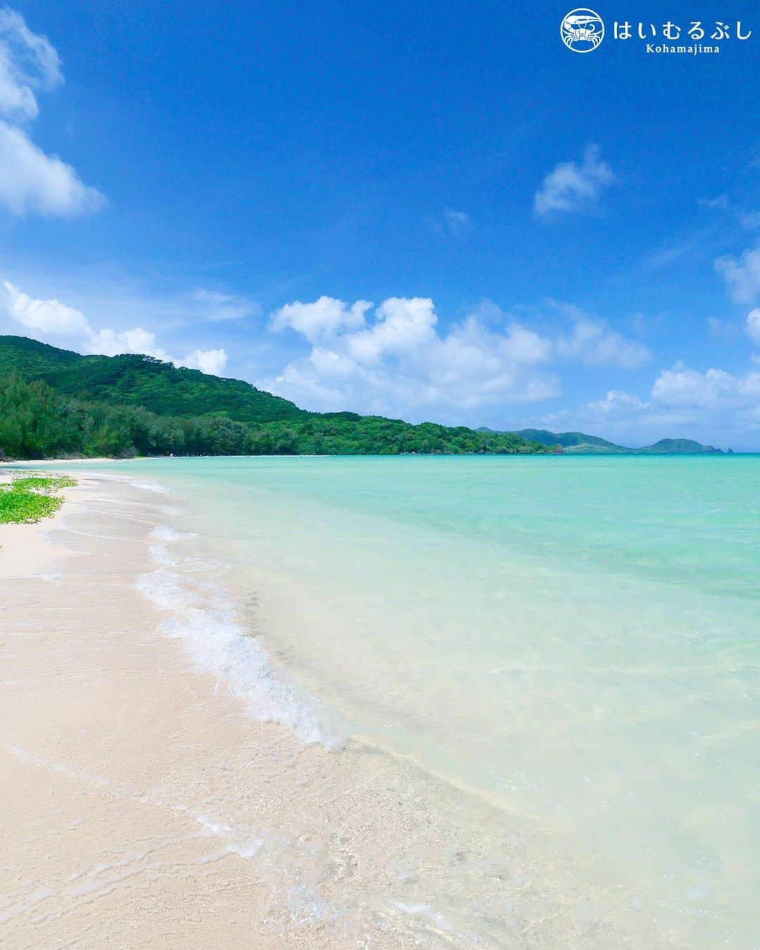 HAIMURUBUSHI はいむるぶしのインスタグラム：「小浜島・はいむるぶしから癒しの風景をお届けします。 白い砂浜に打ち寄せる小波… 海風と共に心地よい波音に心が安らぎます。 ここにしかない、沖縄の美しい景色に癒されにお越しください。 #沖縄 #八重山諸島 #離島 #海 #砂浜 #景色 #旅行 #石垣島 #底地ビーチ #小浜島 #リゾート #ホテル #はいむるぶし  #japan #okinawa #island #blue #sea #white #beach #travel #ishigaki #kohamajima #resort #hotel #haimurubushi」