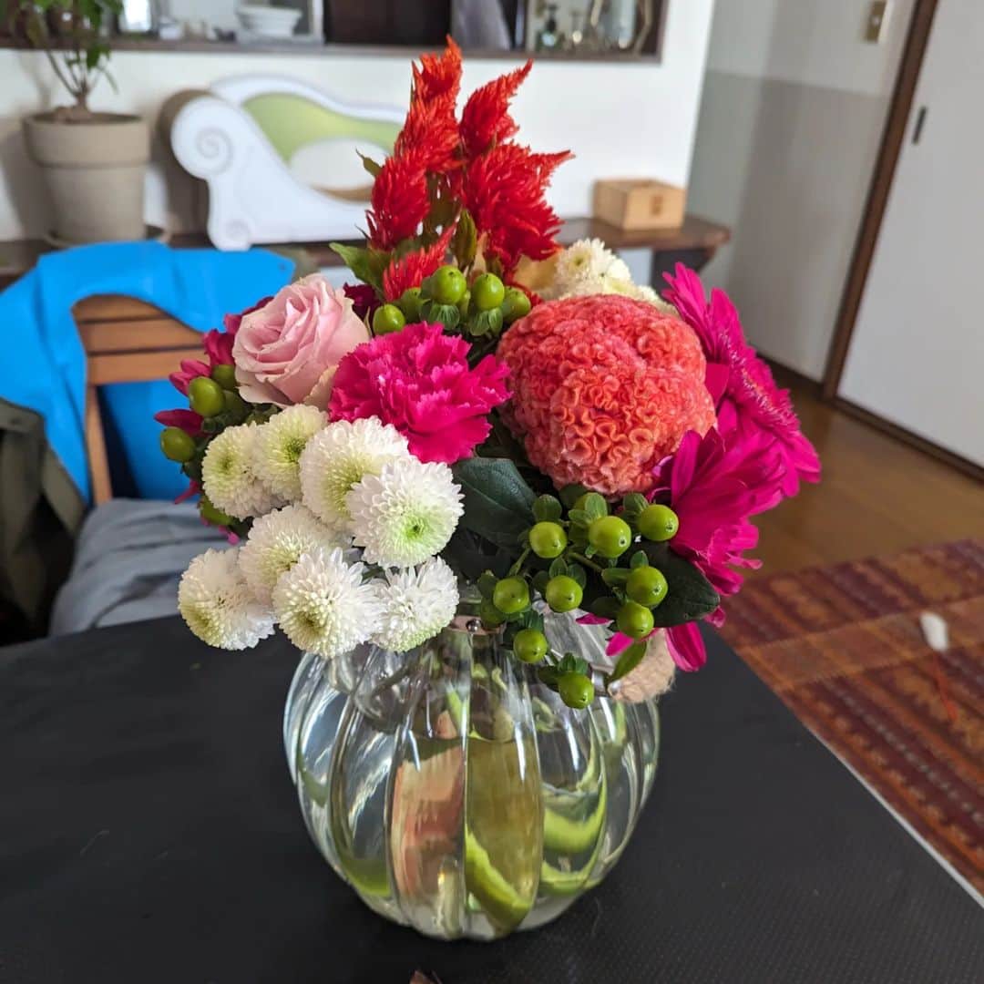 岡田屋鉄蔵さんのインスタグラム写真 - (岡田屋鉄蔵Instagram)「お花ってやっぱりいいねえ。我が家はにゃんずが居るのでべ様とミルバさんの命日しか花は飾らない上に白い花ばっかりなので、こんなにカラフルでガウジャスなお花は久々だー」11月14日 1時20分 - nabhamab