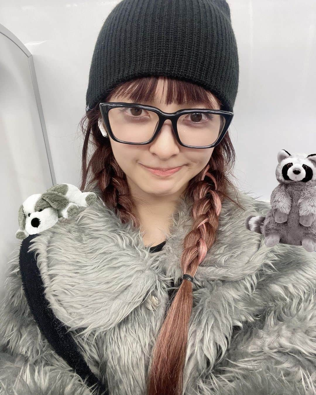 Mappyのインスタグラム：「🐼🐻‍❄️🐨🦭🐘」