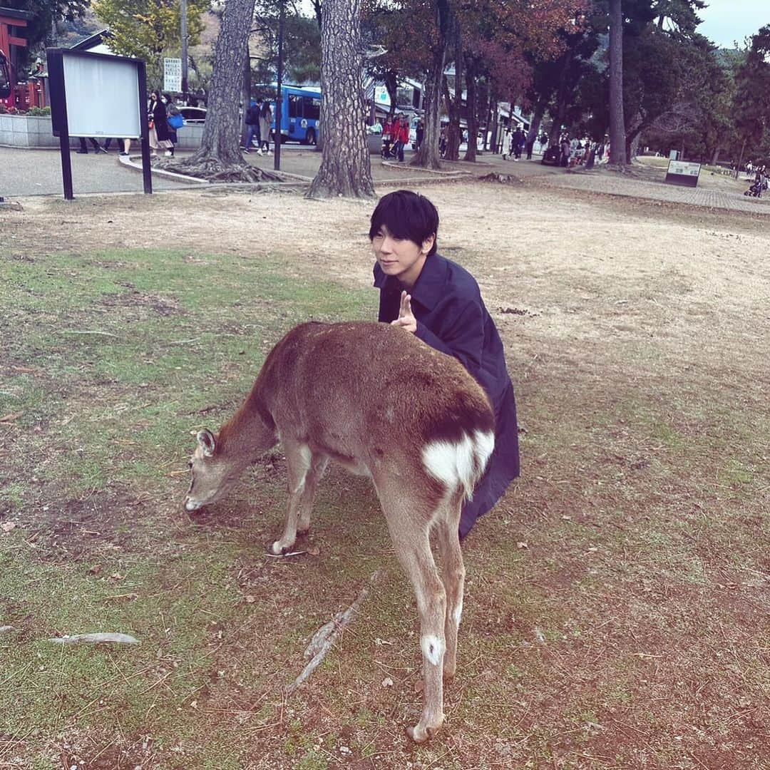 古市憲寿さんのインスタグラム写真 - (古市憲寿Instagram)「秋の奈良へ行ってきました。正倉院展のある時期はできるだけ行くようにしている。一度出陳されたものは、10年間は出陳しないという慣習があって、しかもちょっとずつしか見せてくれない。  今年いちばん印象深かったのは、租庸調（税）としておさめられた白い布。本当にただの古い布で、だからこそ逆に残りにくいものだろうから、まじまじと見てた。知識として知っているものを現物でみるのは楽しい。  昼は元興寺、夜は薬師寺と唐招提寺に。ライトアップといいながら、キャンドルだけでスタイリッシュでよかった。へんてこなプロジェクションマッピングよりもずっといいよね。  #秋の奈良 #奈良 #元興寺 #薬師寺 #唐招提寺 #正倉院展」11月13日 16時43分 - poe1985