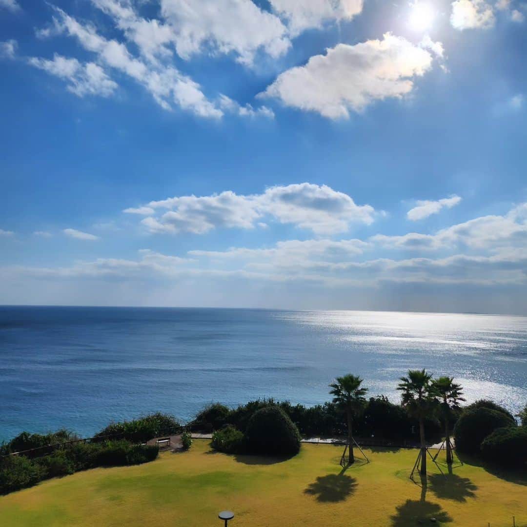 シン・ジュアさんのインスタグラム写真 - (シン・ジュアInstagram)「그림같았던 제주도... 역시 남는건 사진이네요.. 가는곳마다 반겨주셔서 너무감사해요💗 곧 다시올께~~😊😊 안녕제주도~  #제주도#여행 #신주아#추억  벌써또가고싶네요..😏💞」11月13日 17時13分 - shinjooah