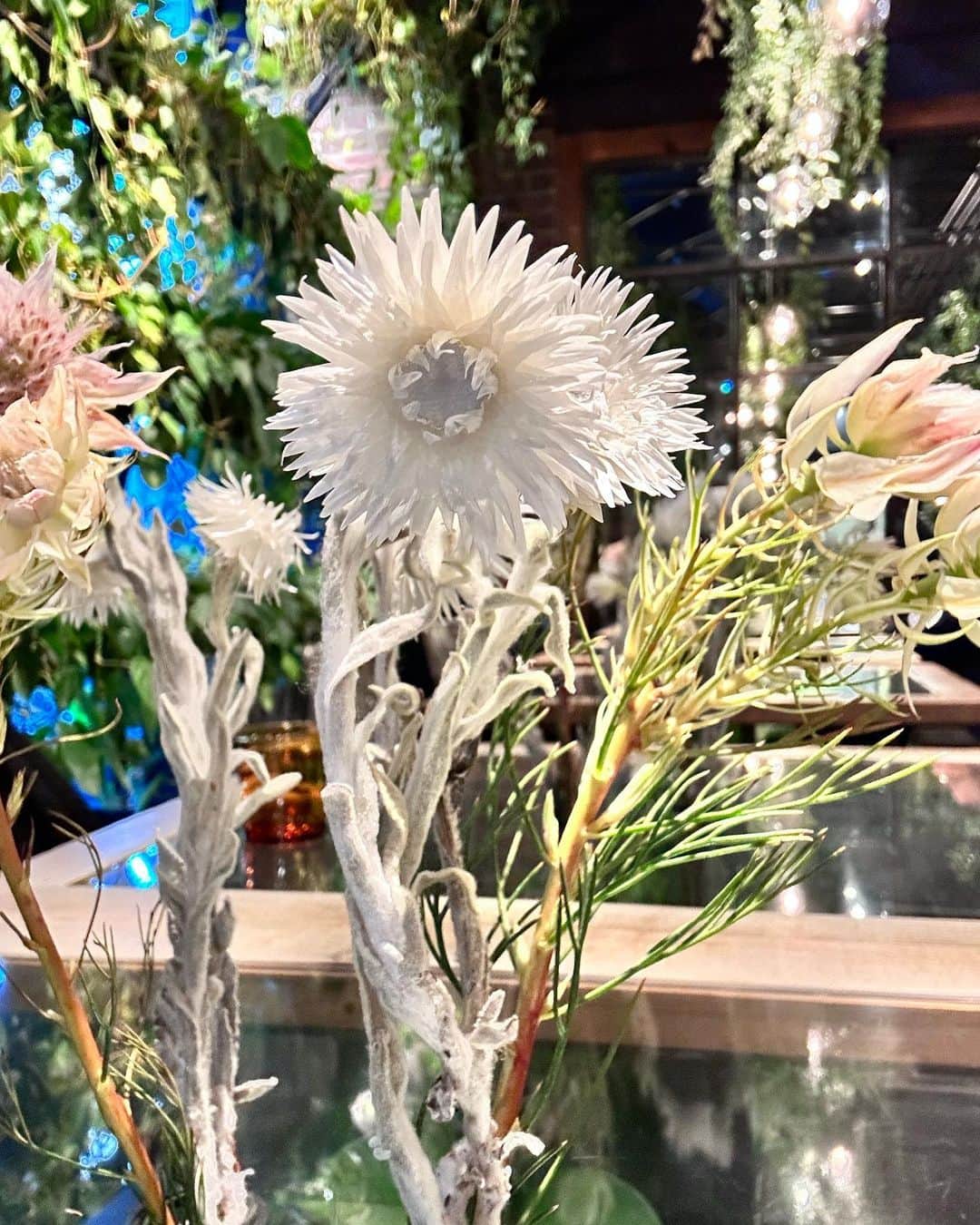 井上ほの花のインスタグラム：「⭐️🐻  大好きなネイティブフラワーだったよ！！！ シンカルファ今年のはじめの方？だったかにお迎えしてまだお家にいるくらい好き！！！！かわいいよね〜 癒された〜。がんばれる。  #ほの花とお花のツーショット」