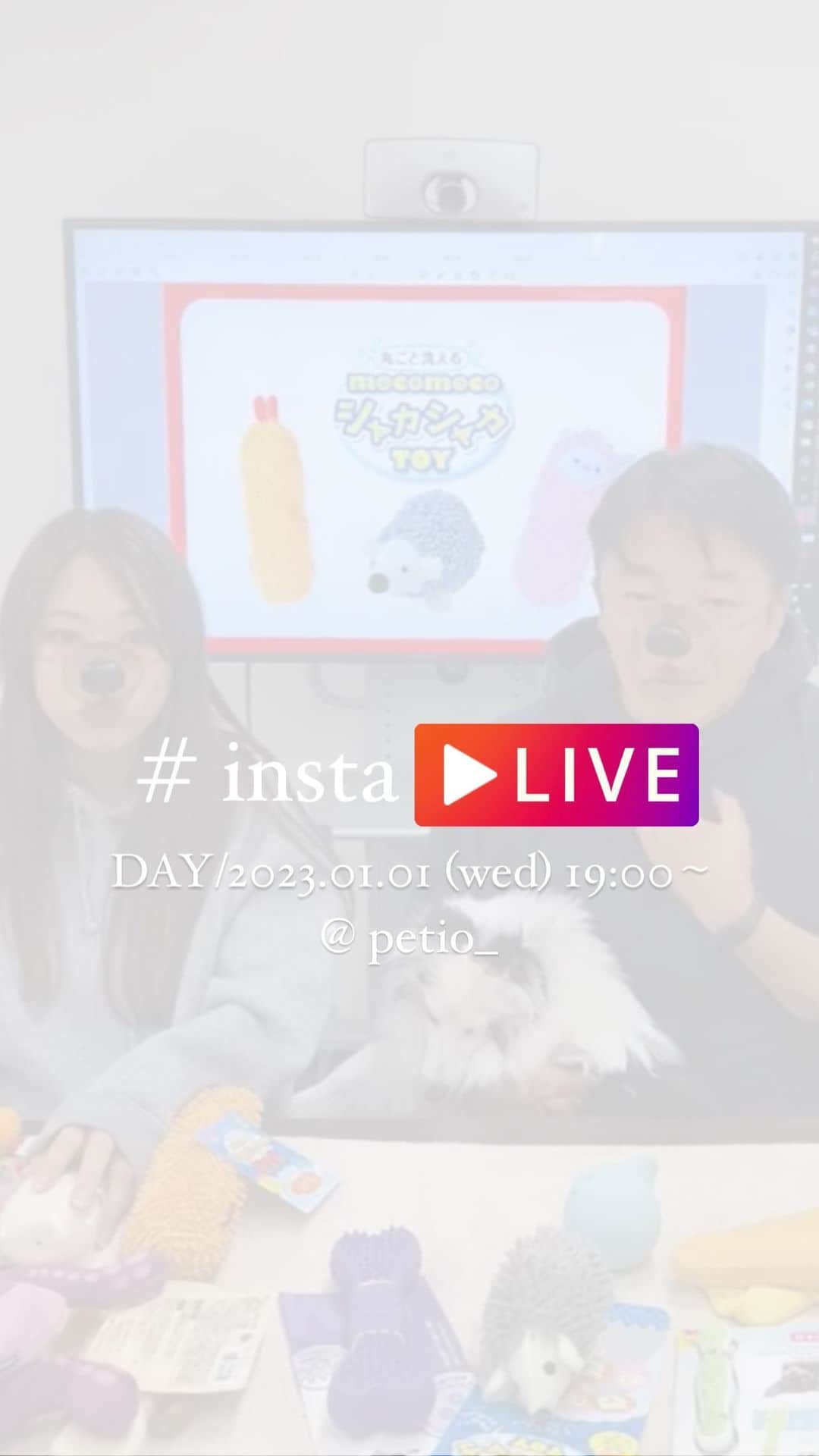 Petioのインスタグラム：「11月1日 犬の日LIVE🐶🐶」