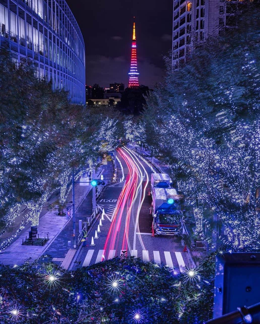東京タワーのインスタグラム：「. 毎週月曜日20時〜22時まで 2時間限定で点灯する インフィニティ・ダイヤモンドヴェールの レギュラーライトアップ✨  11月のカラーは 紅葉色（Maple Red）です🍁  そして、11月6日（月）〜12月25日（月） 17:00～23:00で行われている けやき坂イルミネーション！  六本木の街に冬の訪れを告げる 洗礼された“SNOW&BLUE”の輝き❄️✨  約400mにわたるけやき坂の 温かな街の灯りの中で、 “SNOW&BLUE”の光が放つ幻想的な光景と 紅葉色に輝く東京タワーのお写真を ご紹介しました！  @bubo3329 さん 素敵なお写真をありがとうございました😊  ———————————  【 お知らせ 】  🆕 TikTok  東京タワーの公式TikTokアカウントが 開設されました！  詳細はプロフィールにあるリンクから↓ @tokyotower_official  ■ 公式LINE  東京タワー公式LINEでは 東京タワーのイベント情報を お届けしています！  詳細はプロフィールにあるリンクから↓ @tokyotower_official  ■ Your Tokyo Tower 🗼  # your_tokyotowerで あなたの東京タワーをリポスト！  @tokyotower_official の タグ付けをしてくれると見つけやすいよ！  皆様からの投稿 どしどしお待ちしております！  ———————————  #東京タワー #東京タワー🗼 #tokyotower  #tokyotower🗼  #イルミネーション #illumination  #けやき坂 #六本木」