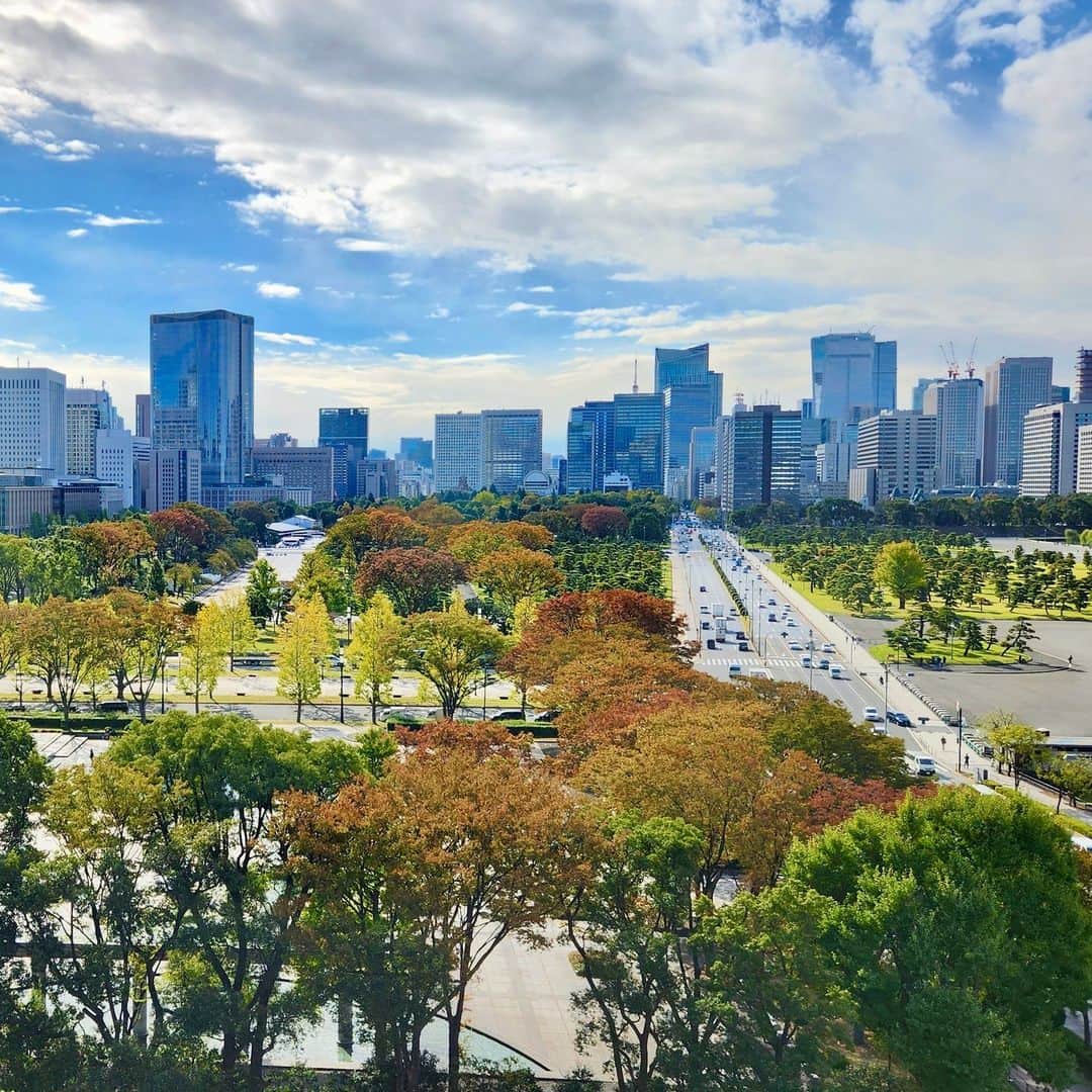 Palace Hotel Tokyo / パレスホテル東京のインスタグラム：「木々が色づき鮮やかな紅葉の季節がやってきました。秋晴れの空の下、ホテル周辺をのんびりと散策されてみてはいかがでしょうか。 Tokyo's autumn unfolds in a vivid spectacle outlooking the Imperial Palace gardens.  #PalaceHotelTokyo #パレスホテル東京」