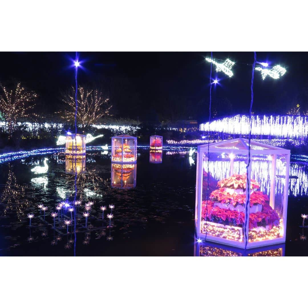 TOBU RAILWAY（東武鉄道）さんのインスタグラム写真 - (TOBU RAILWAY（東武鉄道）Instagram)「. . 📍Tochigi – Ashikaga Flower Park One of the best spots to see illumination in Japan! . Have you seen any illumination displays this year? At Ashikaga Flower Park, located in Tochigi Prefecture, an incredible illumination event is held every year. Last year Ashikaga Flower Park was ranked number 1 among the 3 Best Illuminations in Japan. With this illumination display, you can experience a wonderful LED production. Visitors can enjoy this illumination display from mid-November of this year to mid-February of early next year! Look forward to this moving illumination show with over 5 million bulbs.  . . . . Please comment "💛" if you impressed from this post. Also saving posts is very convenient when you look again :) . . #visituslater #stayinspired #nexttripdestination . . #tochigi #ashikagaflowerpark #illumination #placetovisit #recommend #japantrip #travelgram #tobujapantrip #unknownjapan #jp_gallery #visitjapan #japan_of_insta #art_of_japan #instatravel #japan #instagood #travel_japan #exoloretheworld #ig_japan #explorejapan #travelinjapan #beautifuldestinations #toburailway #japan_vacations」11月13日 18時00分 - tobu_japan_trip