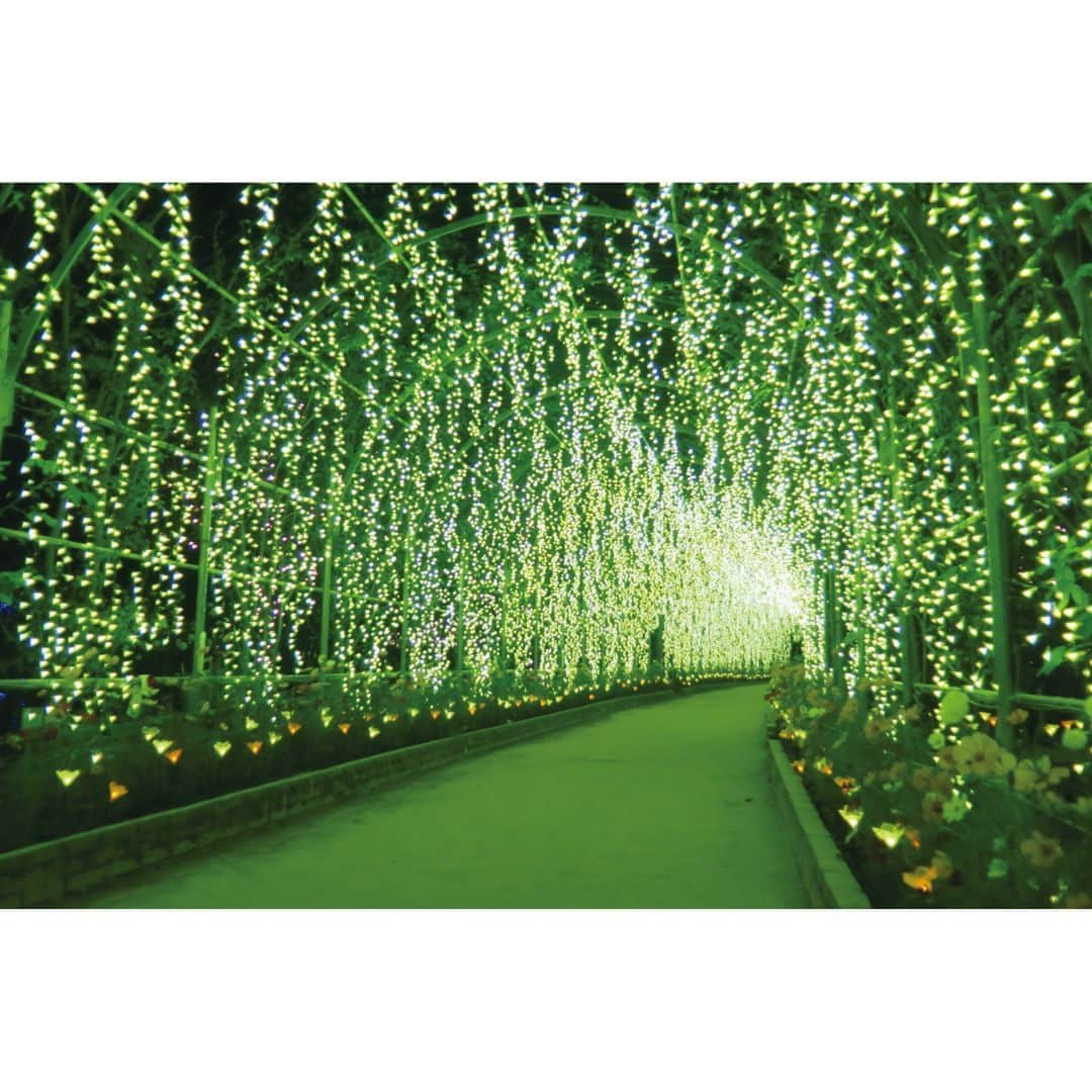 TOBU RAILWAY（東武鉄道）さんのインスタグラム写真 - (TOBU RAILWAY（東武鉄道）Instagram)「. . 📍Tochigi – Ashikaga Flower Park One of the best spots to see illumination in Japan! . Have you seen any illumination displays this year? At Ashikaga Flower Park, located in Tochigi Prefecture, an incredible illumination event is held every year. Last year Ashikaga Flower Park was ranked number 1 among the 3 Best Illuminations in Japan. With this illumination display, you can experience a wonderful LED production. Visitors can enjoy this illumination display from mid-November of this year to mid-February of early next year! Look forward to this moving illumination show with over 5 million bulbs.  . . . . Please comment "💛" if you impressed from this post. Also saving posts is very convenient when you look again :) . . #visituslater #stayinspired #nexttripdestination . . #tochigi #ashikagaflowerpark #illumination #placetovisit #recommend #japantrip #travelgram #tobujapantrip #unknownjapan #jp_gallery #visitjapan #japan_of_insta #art_of_japan #instatravel #japan #instagood #travel_japan #exoloretheworld #ig_japan #explorejapan #travelinjapan #beautifuldestinations #toburailway #japan_vacations」11月13日 18時00分 - tobu_japan_trip