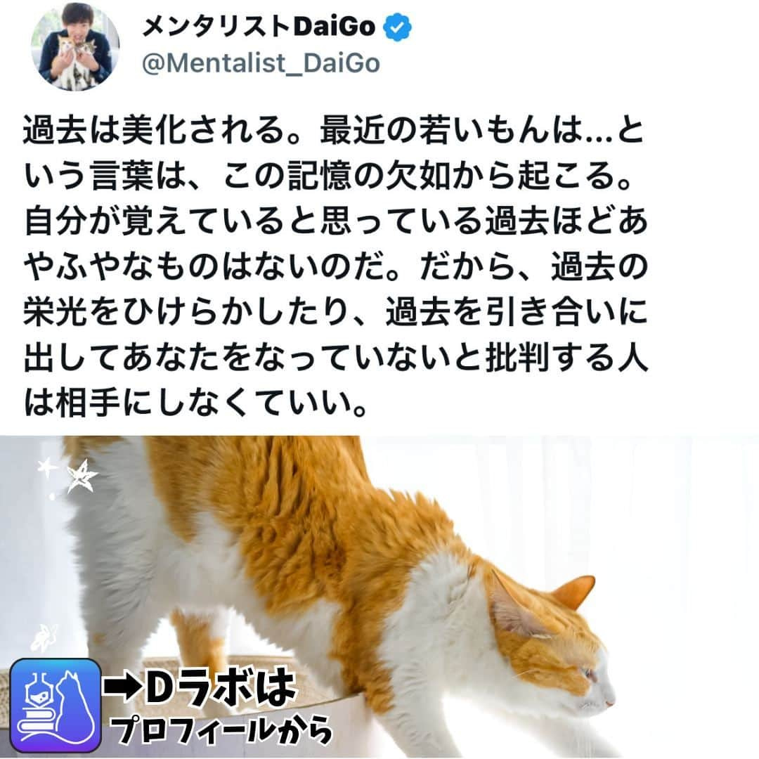 メンタリストDaiGoのインスタグラム：「🐈本日の名言📚 プロフィールからDラボもみてね  #心理学 #メンタリスト #dラボ  #dラボはプロフィールから」