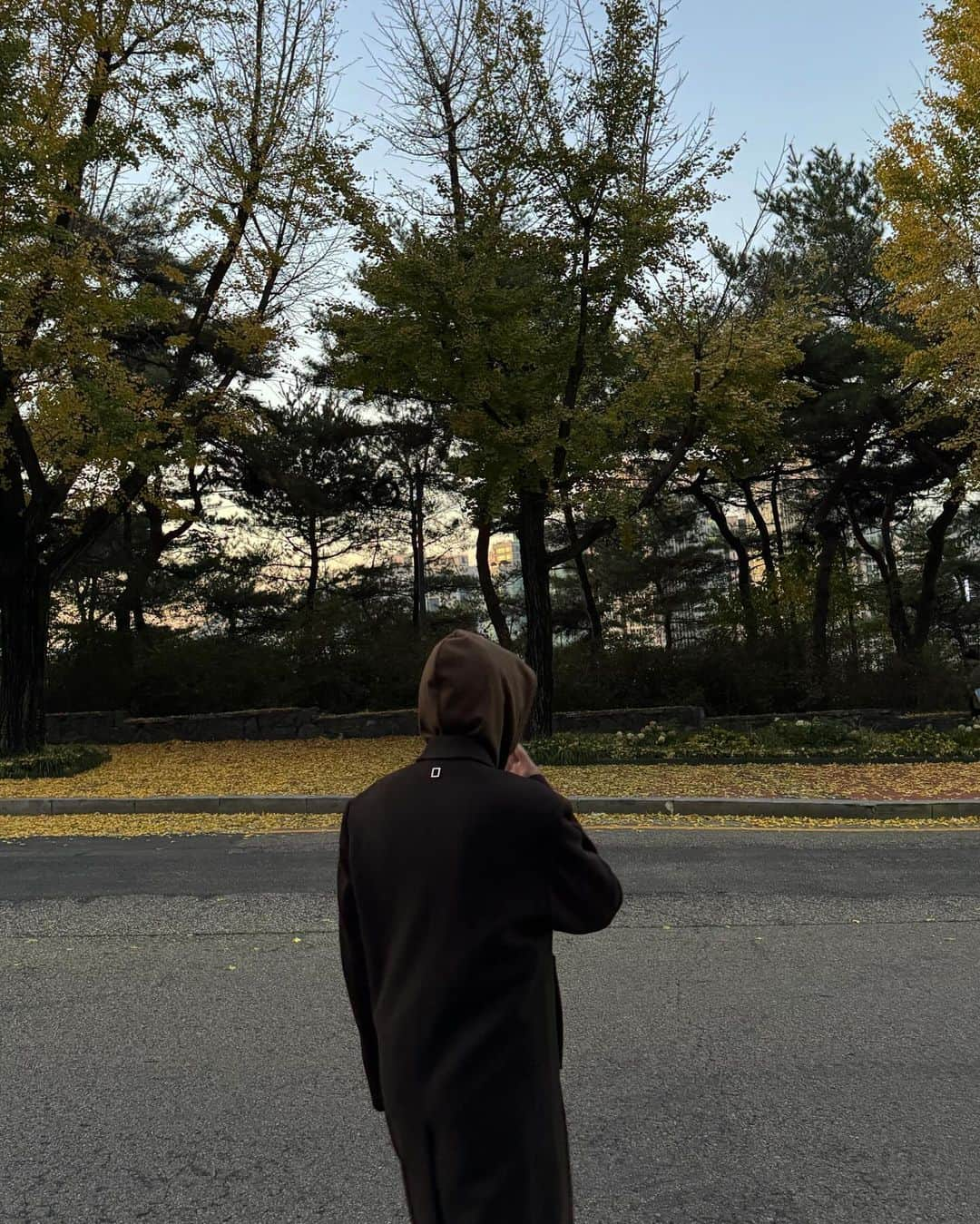 イ・ドンフィさんのインスタグラム写真 - (イ・ドンフィInstagram)「후코」11月13日 18時06分 - dlehdgnl