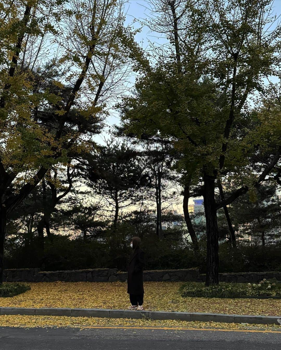 イ・ドンフィさんのインスタグラム写真 - (イ・ドンフィInstagram)「후코」11月13日 18時06分 - dlehdgnl