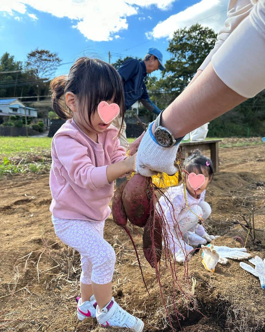 赤松麻里菜さんのインスタグラム写真 - (赤松麻里菜Instagram)「秋の熱海旅行🍁✨ 牧場へ遊びに行って乳搾りやエサやり、畑でサツマイモ掘りなど色々な体験が出来ました🐄🥛♪ 乳搾りは最初姉妹共に触るのを怖がっていたけど、一度上手に出来ると途中からは楽しそうだった🐮✨ ソフトクリーム美味しかったね🍦♡ @oratche_  #秋の空 #熱海旅行 #牧場 #乳搾り #お芋掘り #家族旅行 #子連れ旅行 #オラッチェ #女の子ママ #姉妹ママ #2人育児 #2歳差育児 #3歳差育児 #ママライフ #ワーママ #ワーママの日常 #骨格ウェーブ #イエベ #イエベ春」11月13日 18時11分 - marigram0726