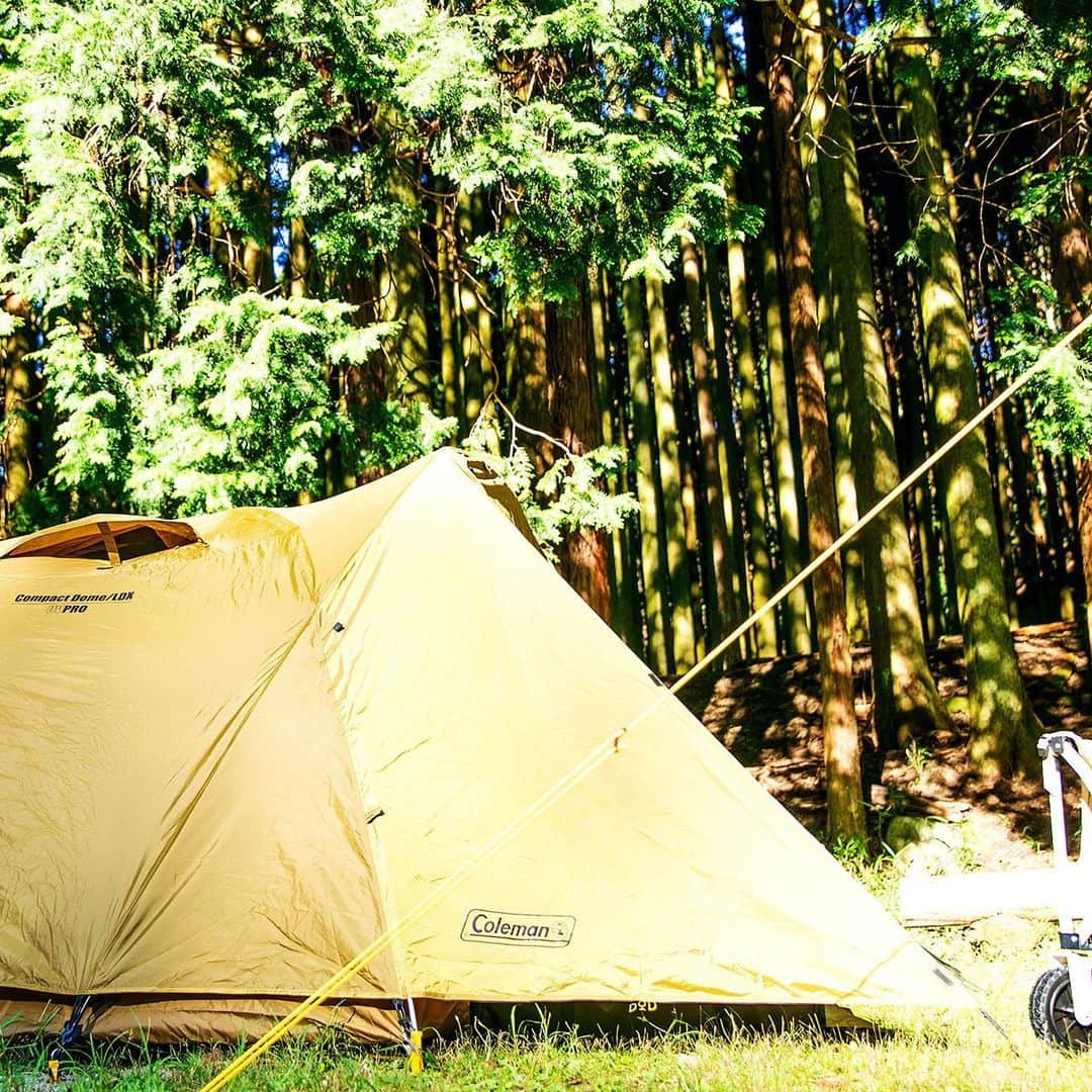 キャンプ情報サイト［ランタン］さんのインスタグラム写真 - (キャンプ情報サイト［ランタン］Instagram)「CAMP SMILE STYLE ／ 各々ギアを持ち込むグループキャンプ。 ゆっくりお酒を飲みつつキャンプ飯を楽しむ ＼ いろんなキャンパーのキャンプスタイルを現地取材と一般キャンパーからの投稿で数多く掲載してます。 . . 詳しくは @lantern.camp webサイトをご覧ください . . #camp #camping #camplife #outdoor #travel #trip #lantern_smile #キャンプ #キャンプ用品 #アウトドア #テント #自然 #旅行 #キャンプ初心者 #キャンプ好きな人と繋がりたい #アウトドア好きな人と繋がりたい #camper #外遊び #キャンプスタイル #かぶとの森テラス #グループキャンプ #グルキャン #DOD #ディーオーディー #STANLEY #スタンレー #Coleman #コールマン」11月13日 18時15分 - lantern.camp