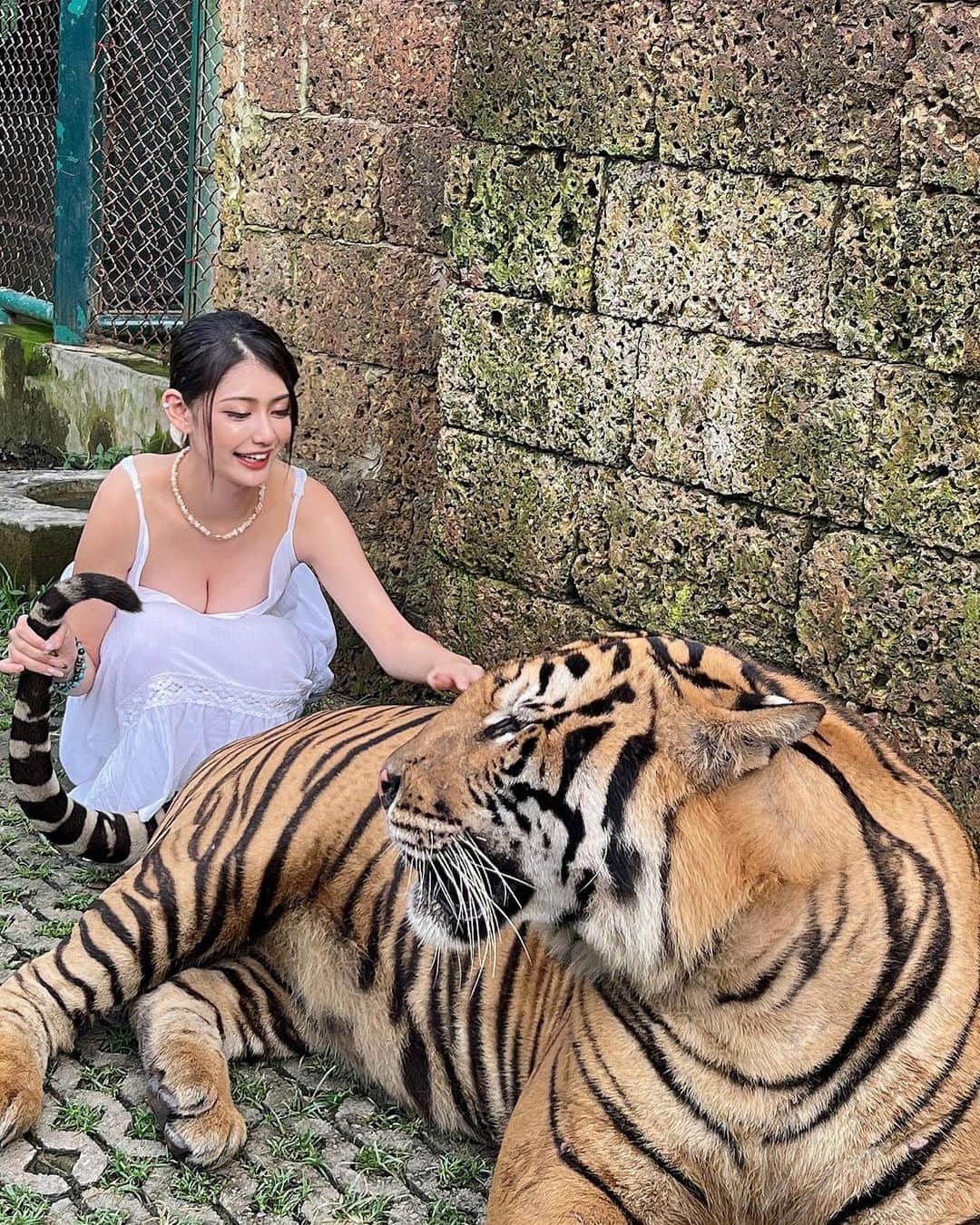 KAHOさんのインスタグラム写真 - (KAHOInstagram)「🐅♥️  可愛すぎた飼いたい！！！！！！  ・  ・   #tigerkingdom  #phuket  #travel  #photography  #gals  #nuts  #girl  #love  #fyp #thailand  #tiger  #ピピ島  #プーケット  #タイ旅行  #タイガーキングダム  #ギャル」11月13日 18時24分 - kaho____0902