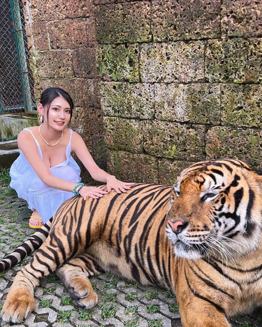 KAHOのインスタグラム：「🐅♥️  可愛すぎた飼いたい！！！！！！  ・  ・   #tigerkingdom  #phuket  #travel  #photography  #gals  #nuts  #girl  #love  #fyp #thailand  #tiger  #ピピ島  #プーケット  #タイ旅行  #タイガーキングダム  #ギャル」