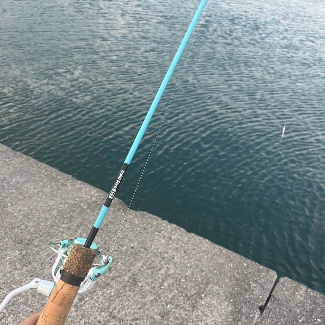 高本采実さんのインスタグラム写真 - (高本采実Instagram)「🐟 魚と戯れまくったとある１日。 まずは和歌山県立自然博物館へGO！  ここ穴場やから是非行ってほしい！！ おすすめポイントたっぷりあります🥺 ▫️入館してすぐ迫力あるワニガメがお出迎え ▫️水棲生物をじっくり観察できる大水槽あり（ベンチもある） ▫️タッチプールが深すぎて魚に触れる難易度高すぎておもろい ▫️タッチプールで満潮・干潮が目で見れて魚の動きも分かりやすい ▫️魚類から哺乳類まで多様な動物の標本・詳しい解説たっぷりある ▫️個人的に好きな岩石の展示も盛り沢山でずっと眺めてられる ▫️エサやりタイムには、ディズニーの音楽が流れ出して魚が飛んでくるようにエサに喰らいつく様子がたっぷり見れる（日時要確認）  他にもまだまだあるー😂  魚を見たあとは魚を釣りに、 田ノ浦漁港でお菓子食べながら釣りしてました👼🏻🎣 なんでも釣りに持ってこいのブンブンスティックに 活性低い時にも有効なマイクロジグ忍ばせてたから 30分程でチャリコ・アジ・フグの3魚種GET&リリース🐟  夕暮れのタンクトップはちょっと寒かったな！笑  ⚓️ 田ノ浦漁港  . . . .  #和歌山県立自然博物館 #和歌山 #水族館 #博物館 #釣り #田ノ浦漁港 #ジグ #ライトゲーム #魚好き #マダイ #チャリコ #おっとっと #釣果 #大物ハンター #アングラー #fishinggirl #钓鱼 #高本采実 #あやみん #ayamistagram」11月13日 18時41分 - ayami__summer