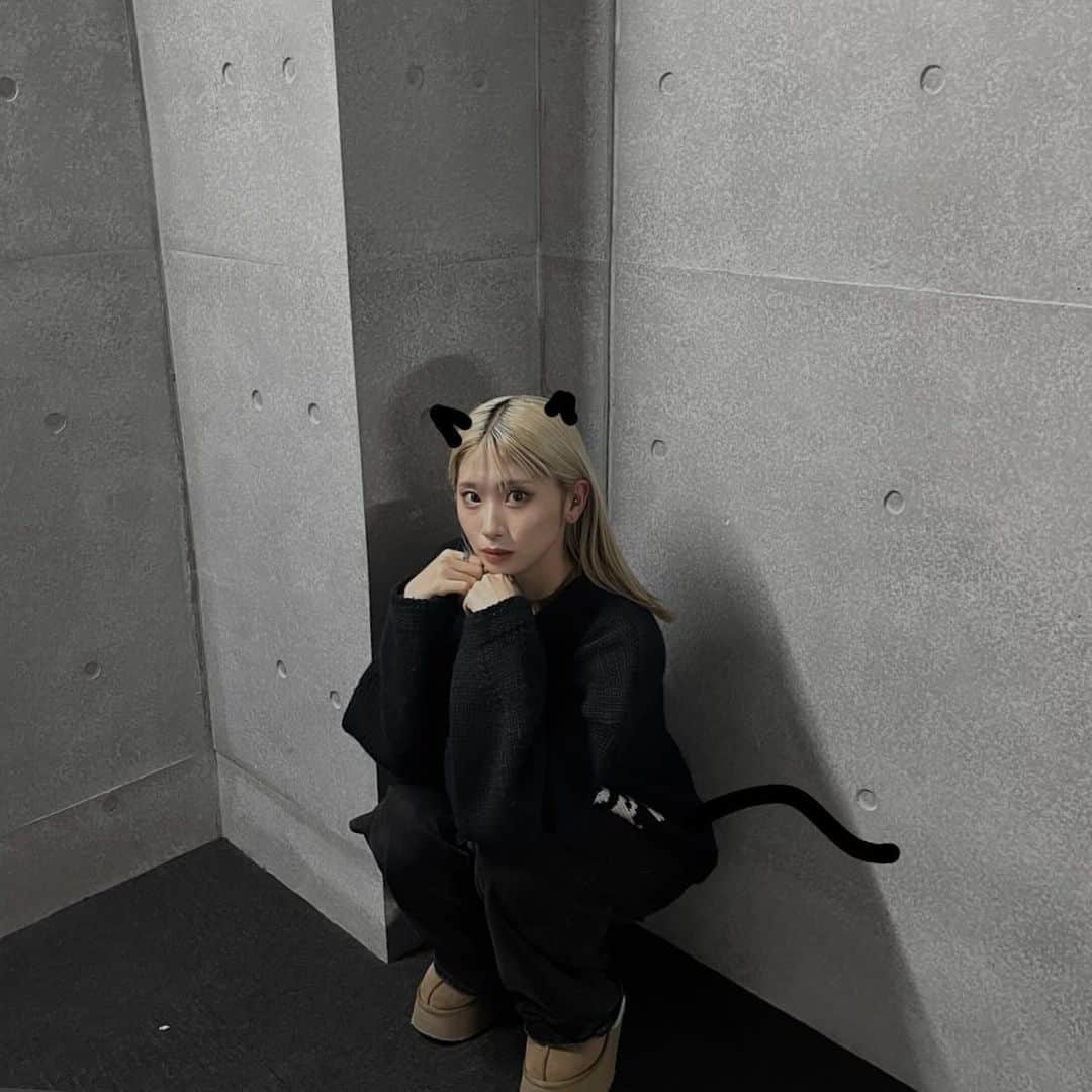 三浦寿莉さんのインスタグラム写真 - (三浦寿莉Instagram)「고양이」11月13日 18時42分 - juri_miura0919