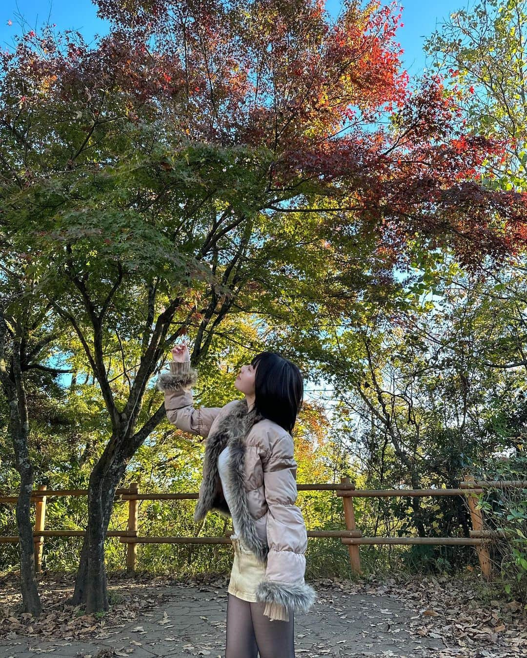 柚月瀬那のインスタグラム：「紅葉🍁 can't wait for the new photos @wesmathur 😭🫶🏻🤫📷 🧥 @shopwasteland  🥼 @abercrombie  🩲🥾 @diesel」