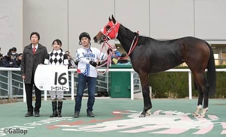 古川奈穂さんのインスタグラム写真 - (古川奈穂Instagram)「土曜日、日曜日と福島競馬場で騎乗させて頂きました。 乗せてくださった関係者の皆様、応援してくださった皆様、ありがとうございました。  土曜日の7Rをバスドラムガール号で、日曜日の12Rをリーゼントミニー号で勝たせて頂きました！ 関係者の皆様、ありがとうございました🙇‍♀️  2頭とも良いスピードを持っているので、結果を出すことが出来て良かったです☺️ 最後まで粘ってくれた2頭に感謝です✨  ミニーちゃんは下唇が白くてとても可愛いので、厩舎でたくさん写真を撮ってしまいます😍  福島はとても寒く、冬を感じる週末でした❄️ 皆様もお身体にはお気をつけ下さい🧣  写真はgallopさんからお借りしました🙇‍♀️  #福島競馬場   #バスドラムガール  #リーゼントミニー   #冬の訪れ」11月13日 19時00分 - naho_furukawa_official