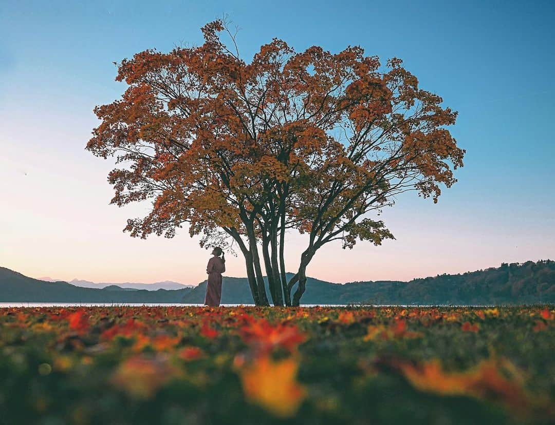 yukiのインスタグラム：「・ #紅葉 #長野紅葉  #僕らが見ている風景 __________________________ 日々の撮影記事やコラム更新中！ ・・・・・・・・・・・・・・・ ◉FAN限定サイト◉ https://www.fansnet.jp/sty830 __________________________  #nikon #nikonphotography」