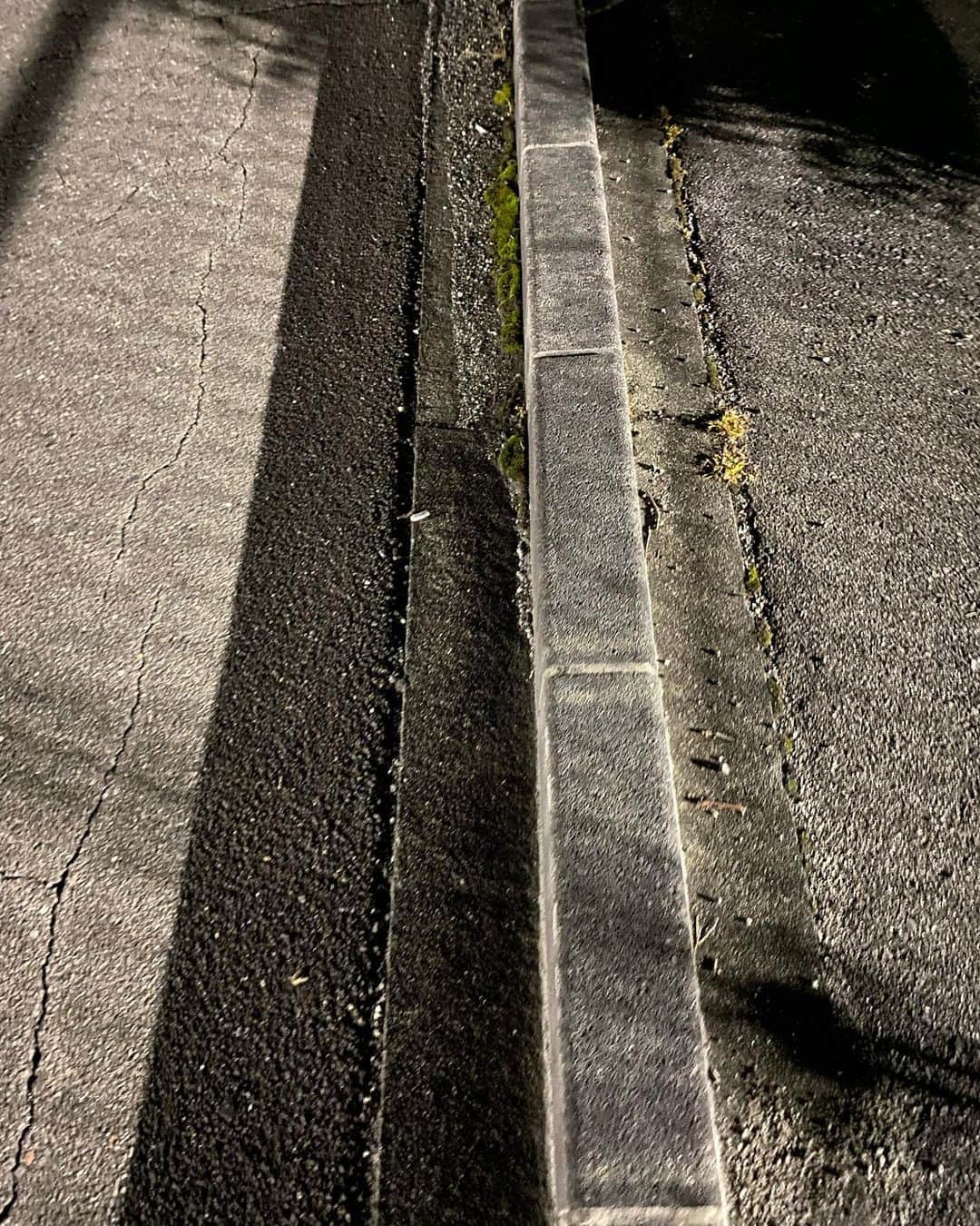 のインスタグラム：「大人になっても、ここを歩きたいときがあります。(ここにくるといつも)」