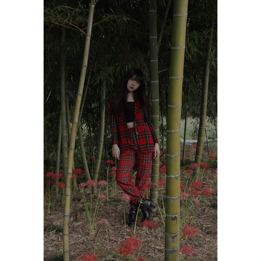 熊本アイさんのインスタグラム写真 - (熊本アイInstagram)「⁡photo/ごん ⁡⁡⁡ ⁡#portrait #portraitphotography #portraitmodel #ポートレート #ポートレートモデル #プルクラ撮影会 #撮影会 #撮影会モデル #彼岸花 #clusteramaryllis #lycoris #fashion #fashionstyle #setup #チェックコーデ #followme #aikumamoto」11月13日 19時21分 - eye.1010