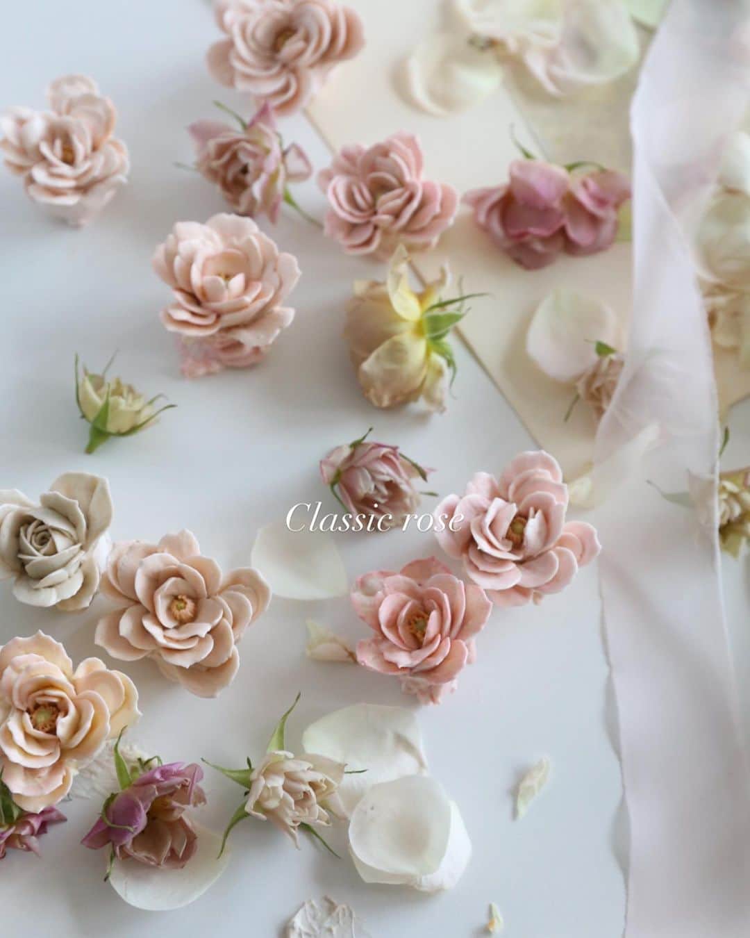 청담 수케이크 (atelier soo)のインスタグラム：「ㅡ 예뻤구나! 2022. Classic rose 🤍🎻  #rose  #숫자케이크」