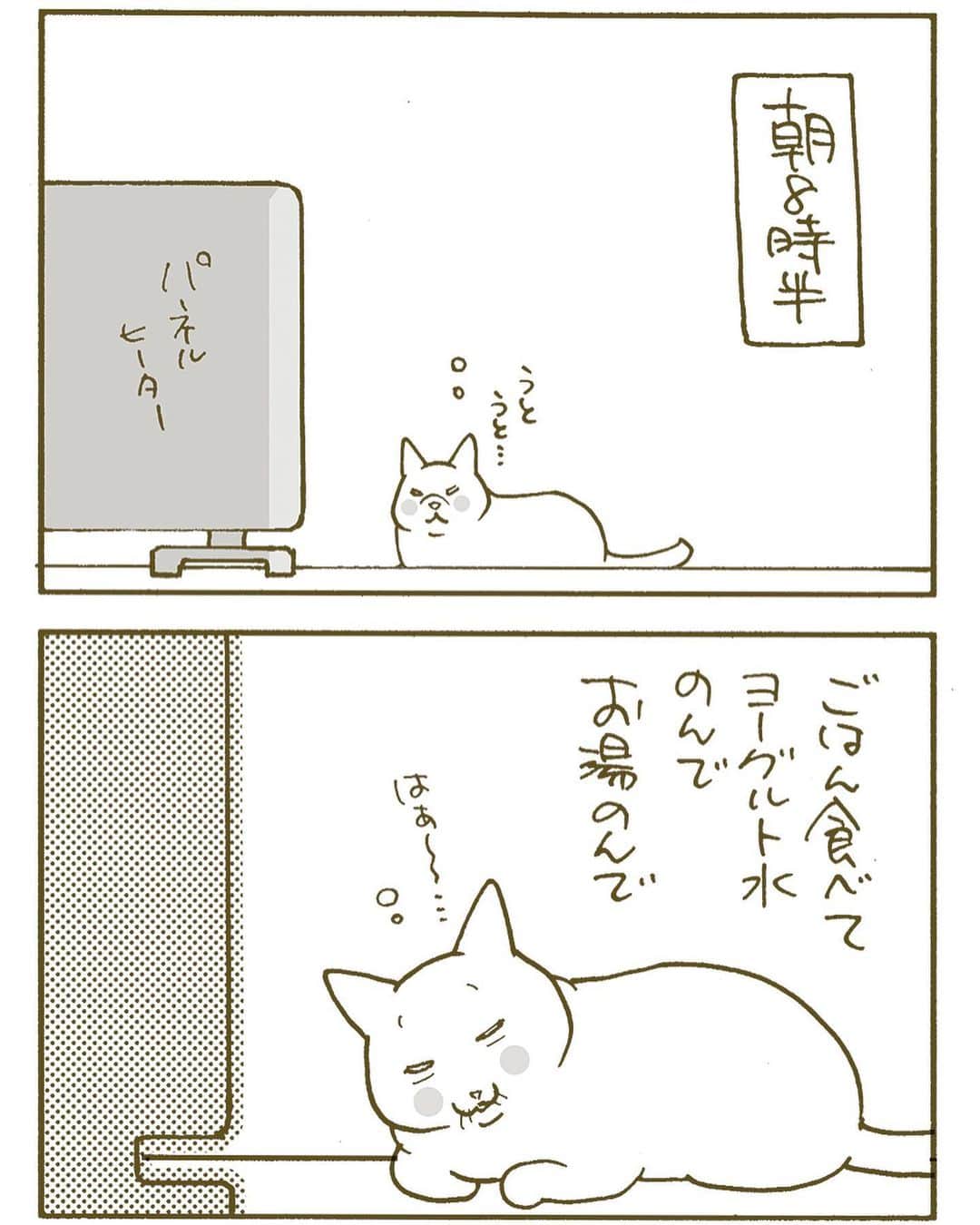 のインスタグラム：「目覚ましボーイ  #マル胡  #おじすんとマル」