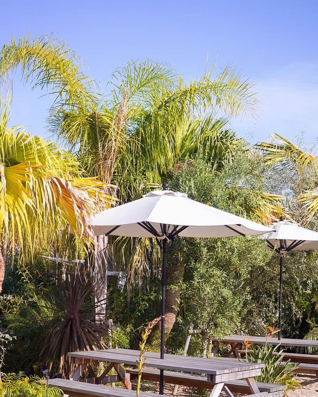 Miyuuのグルメインスタ