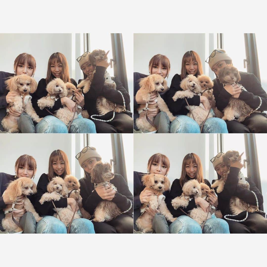 三ツ井裕美さんのインスタグラム写真 - (三ツ井裕美Instagram)「犬会🐶🐶🐶🐶  久しぶりのお2人と♡  久々だったし話す事ありすぎて全然時間足りません、、、😂  またぜひ☕️  わんこチームみんな自由で（笑）見ててめちゃめちゃ楽しかったし癒されました💓  @ca7boom  @satsunnnnn   #ネイルの雰囲気がみんな似てた💅」11月13日 19時53分 - hiromi__km