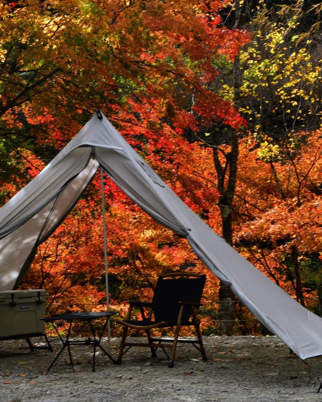 CAMP_HACKさんのインスタグラム写真 - (CAMP_HACKInstagram)「色鮮やかな紅葉🍁キャンプ特集✨  2,3枚目🍁 日ケ奥渓谷キャンプ場 4枚目🍁 休暇村乳頭温泉卿 乳頭キャンプ場 5枚目🍁 蔵王坊平国設野営場 6枚目🍁 道志の森キャンプ場 7,8枚目🍁 駒出池キャンプ場 9,10枚目🍁 四徳温泉キャンプ場  from CAMP HACK  Photo by @icecream_camp さん @cota_base_43 さん @wakuwaku_camp_ さん @eito0_0 さん @sahara.sotoasobi さん @ryunosuke_yamamotod5 さん  #紅葉キャンプ #紅葉キャンプ場」11月13日 20時00分 - camp_hack