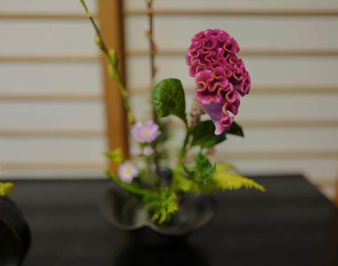 真奈さんのインスタグラム写真 - (真奈Instagram)「ikebana life💐  #꽃꽂이　#生け花 #生けまな　#ikebana」11月13日 20時16分 - manatmnt0116