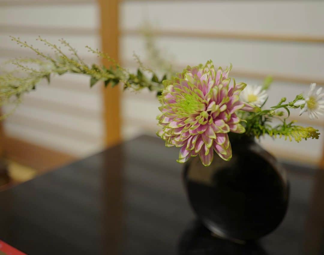 真奈さんのインスタグラム写真 - (真奈Instagram)「ikebana life💐  #꽃꽂이　#生け花 #生けまな　#ikebana」11月13日 20時16分 - manatmnt0116