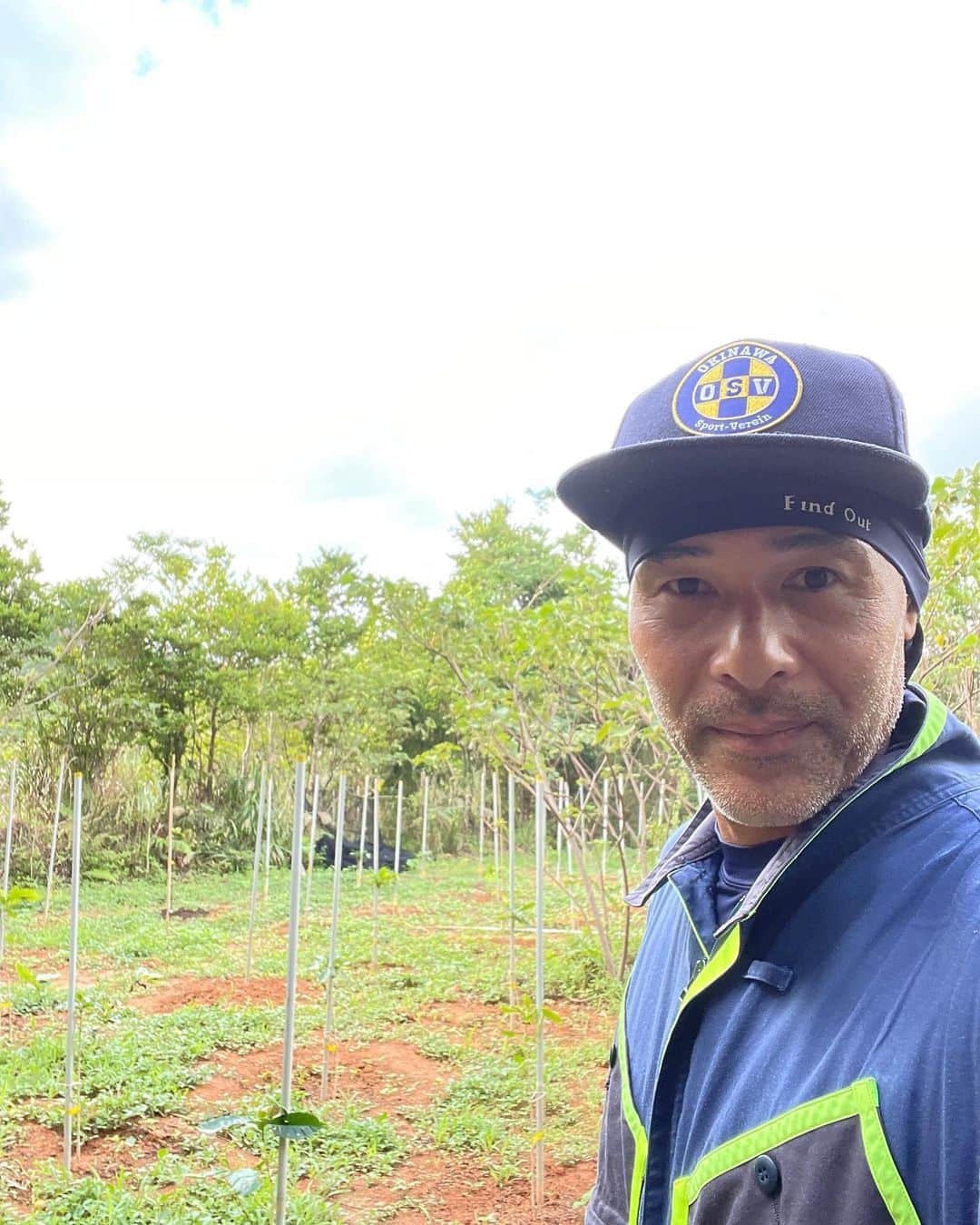 高原直泰のインスタグラム：「今日は大宜味のコーヒー畑。 ニームオイル散布と雑草除去。 新たに植えた苗木の確認と環境整備のチェック。 順調に成長してくれれば3年後に収穫をむかえます。 #沖縄コーヒー #コーヒー栽培 #沖縄でコーヒーを育てる #ニームオイル #沖縄ライフ」